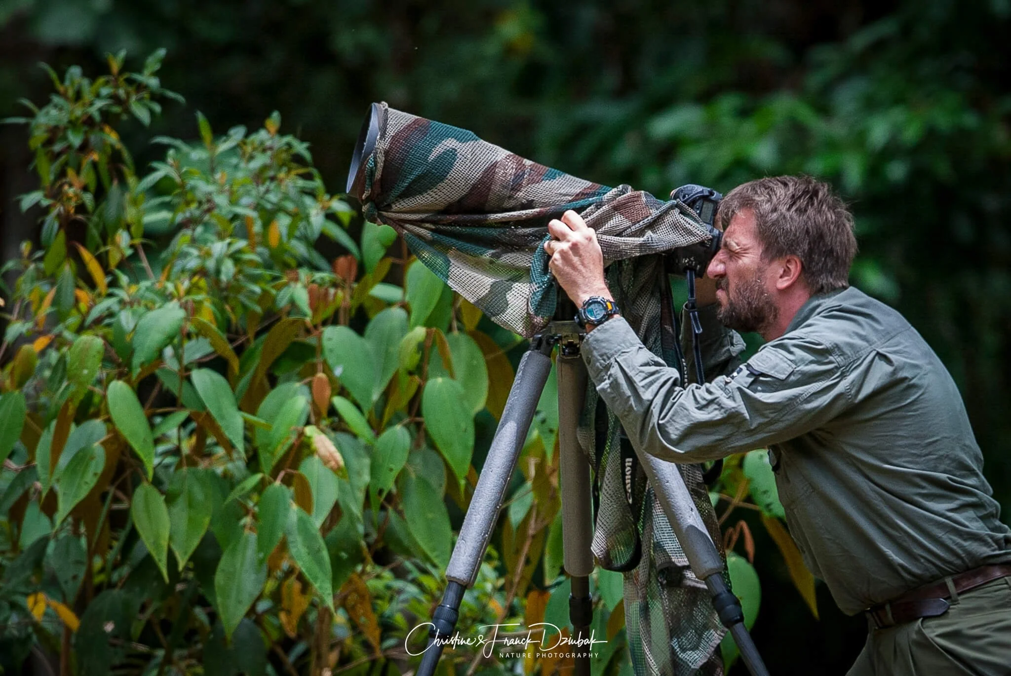 Christine & Franck Dziubak, wildlife and nature photographers, Costa Rica
