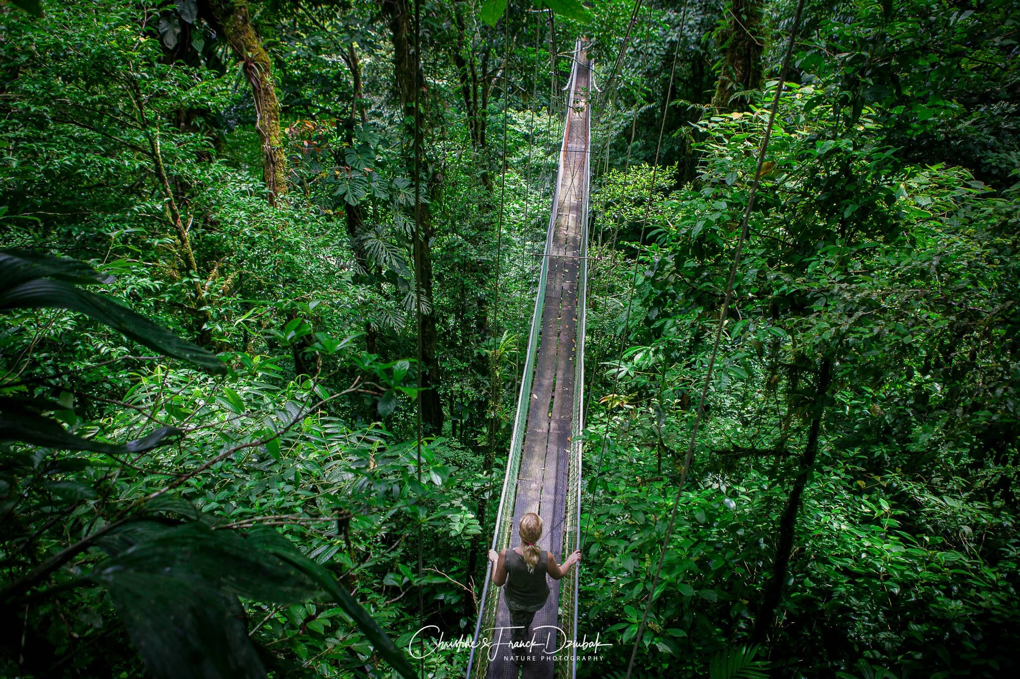 Christine & Franck Dziubak, wildlife and nature photographers, Costa Rica