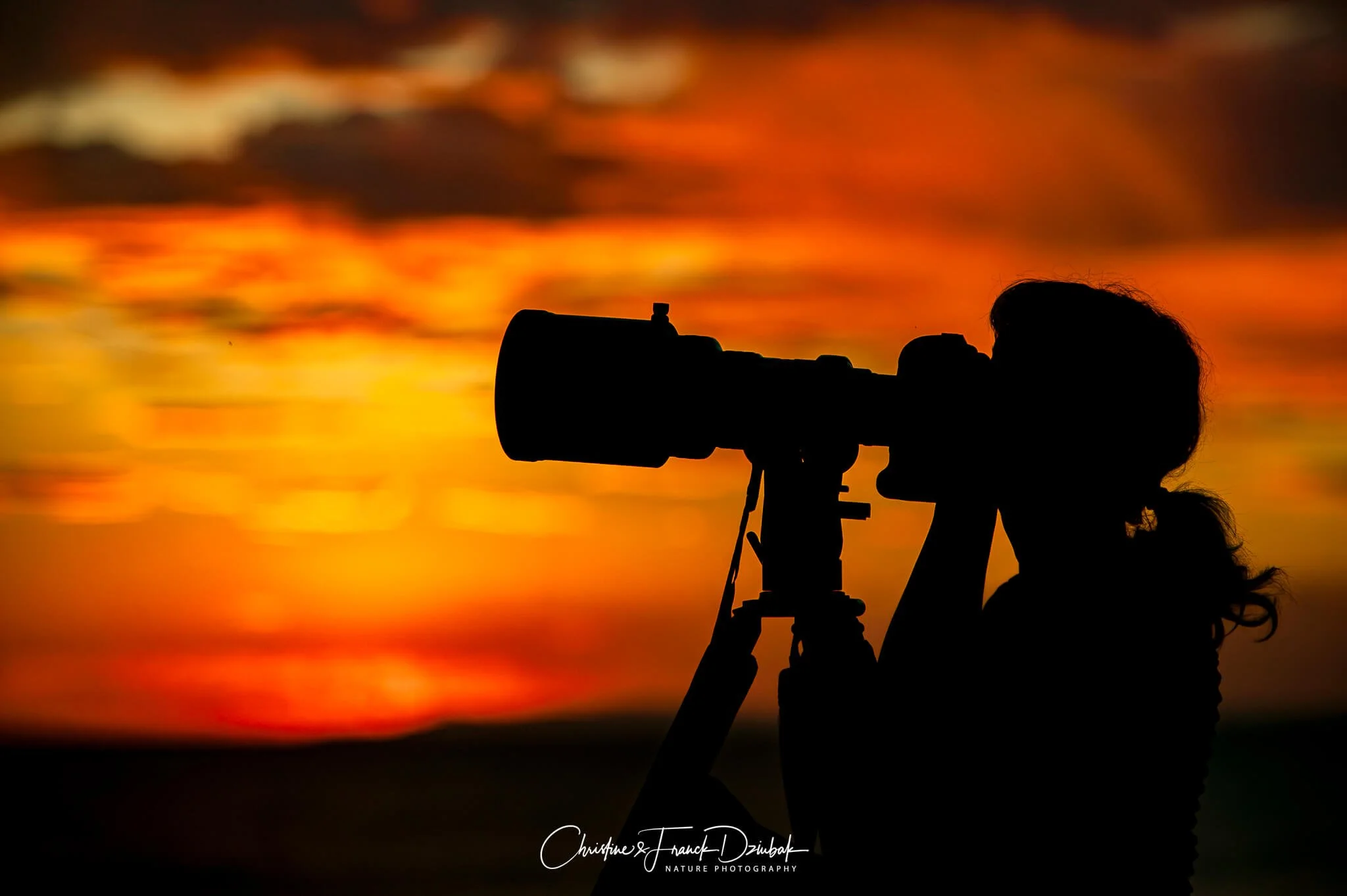 Christine & Franck Dziubak, wildlife and nature photographers, Costa Rica