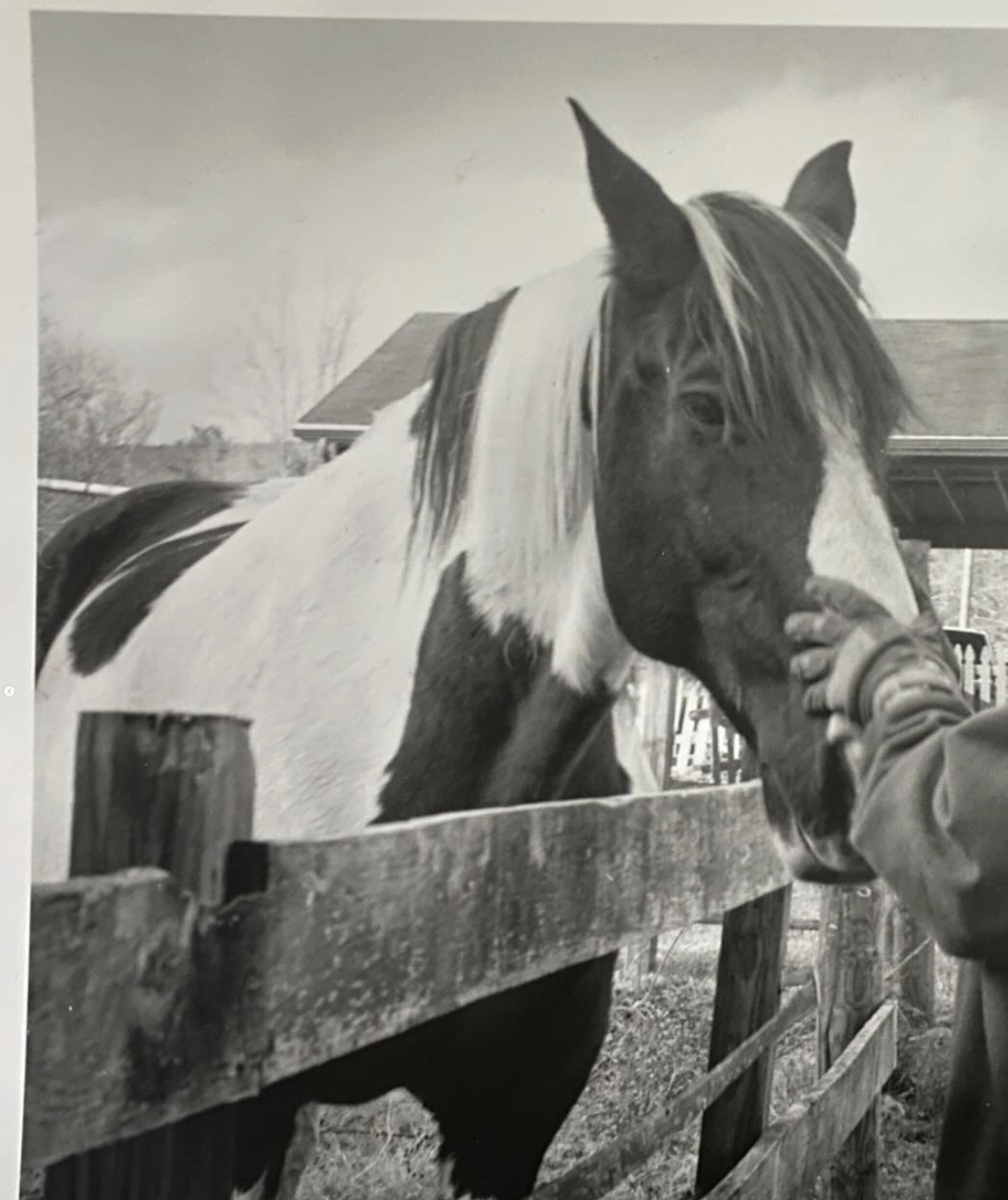 Screenshot 2026-02-02 at 10.07.39 AM.png