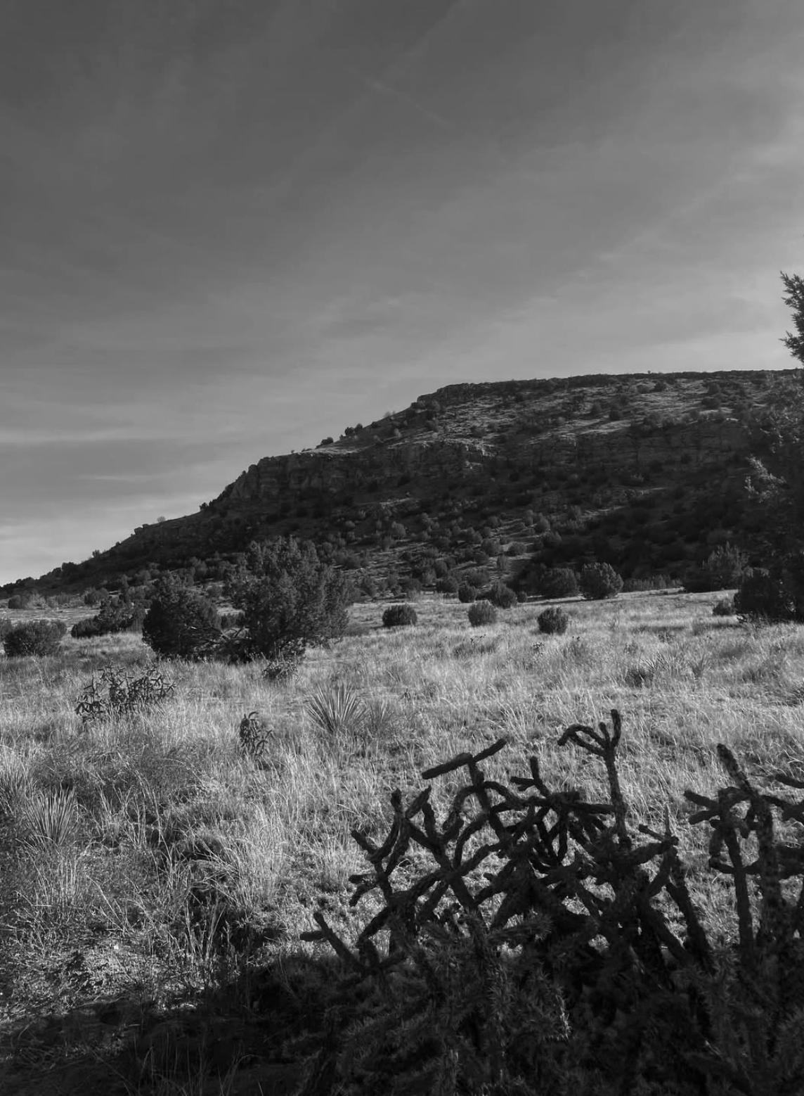 Screenshot 2026-02-02 at 10.12.44 AM.png