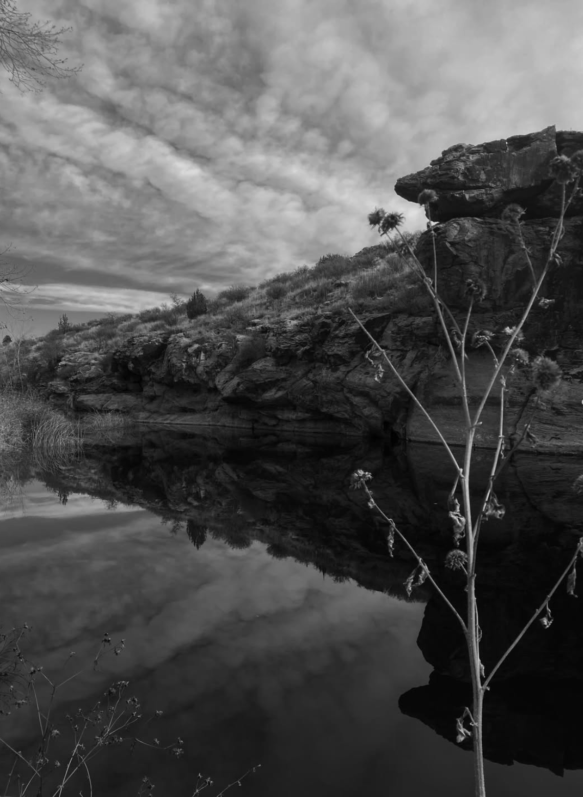 Screenshot 2026-02-02 at 10.12.26 AM.png