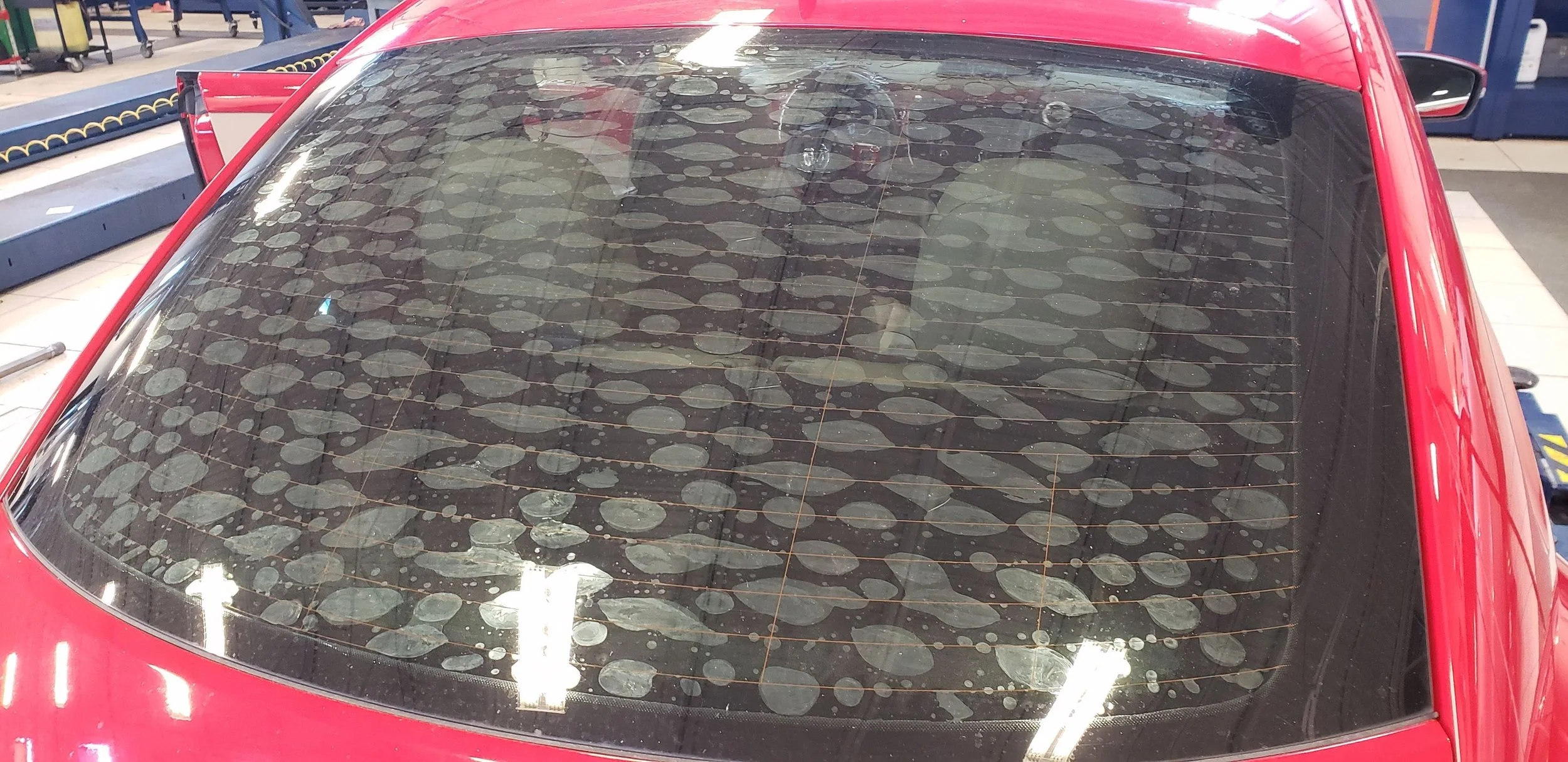 rear window beetle vw with bubbles