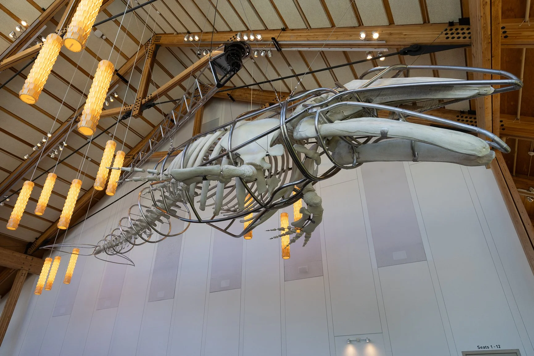 Singer the Whale at Vashon Center for the Arts