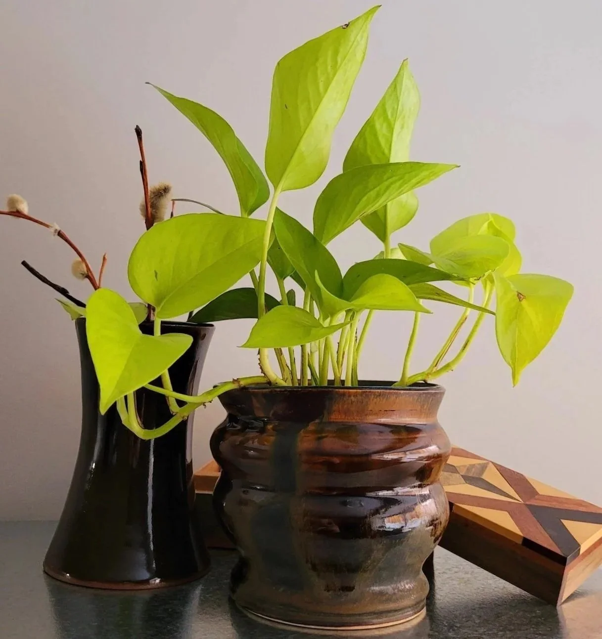 A potted green plant with large leaves in a dark ceramic pot, next to a black vase with a branch and fuzzy seed pods, and a wooden geometric decorative object, all on a table against a plain wall.