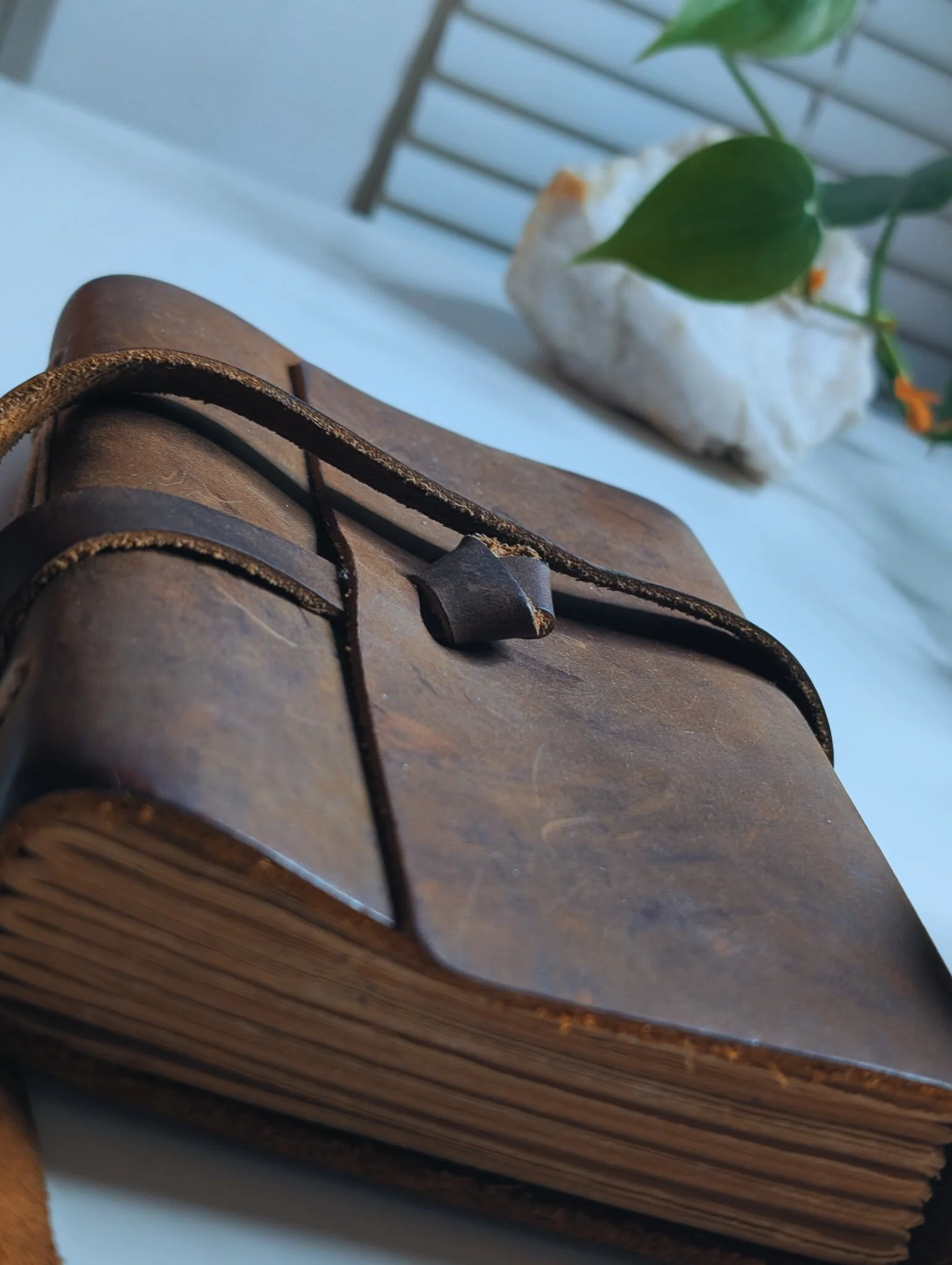 Starter Innk Package