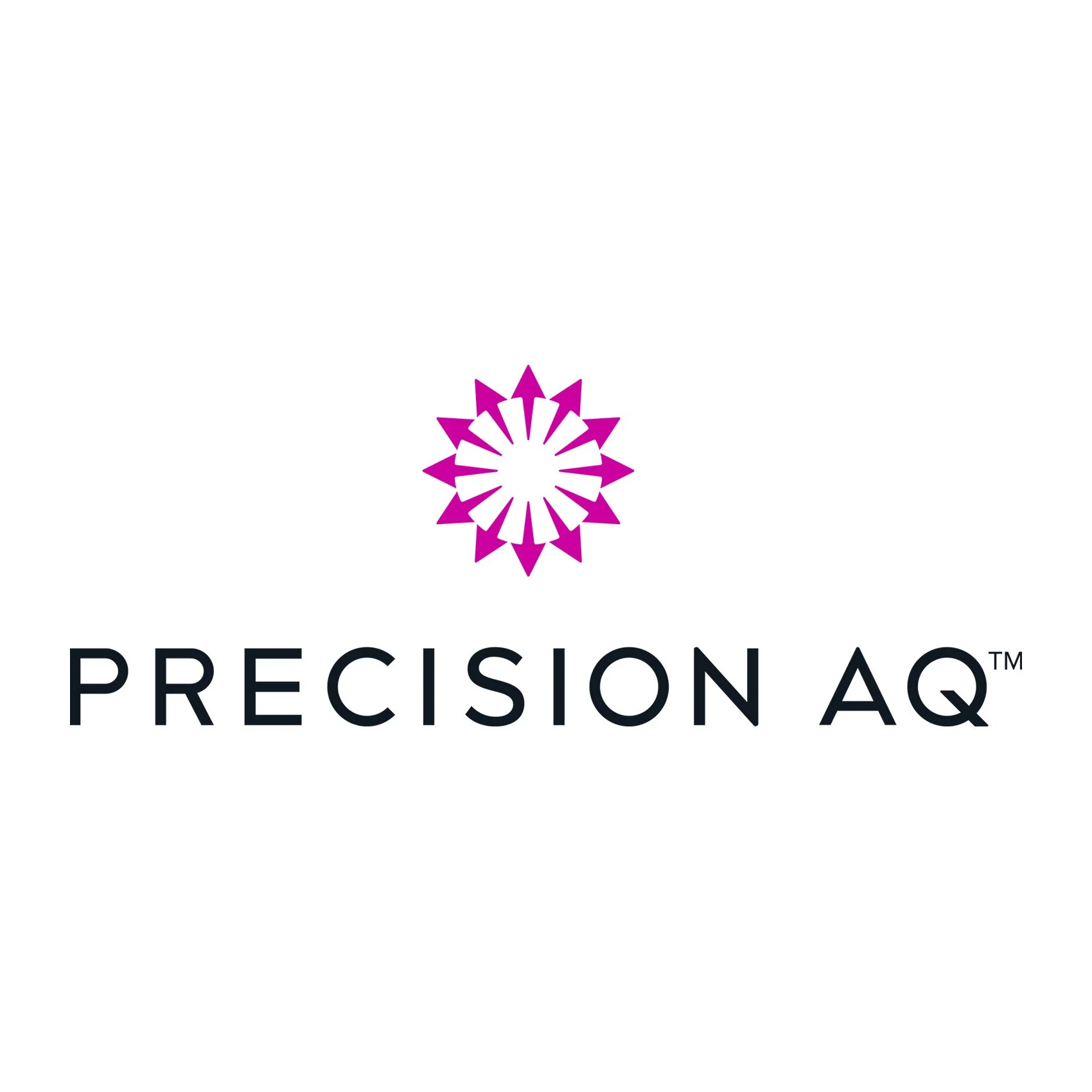 Precision_AQ_Logo.jpg