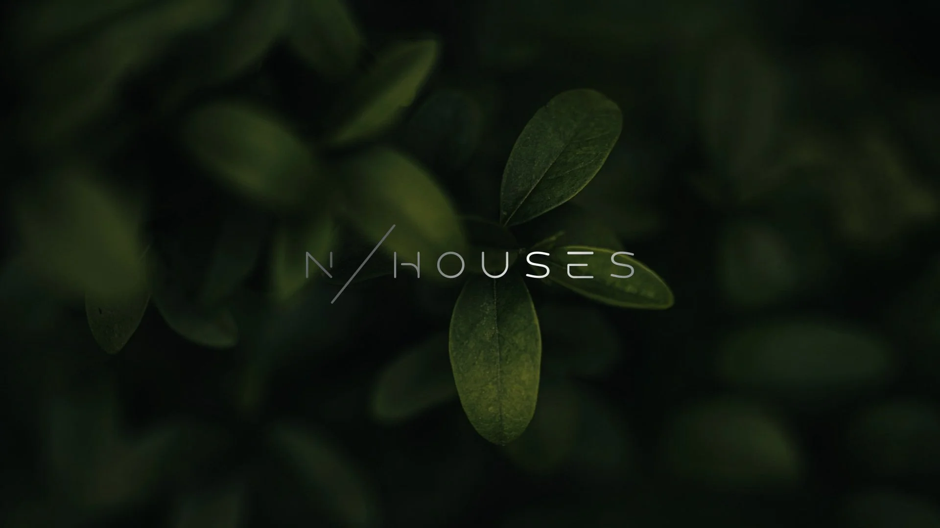 NHOUSES00.jpg