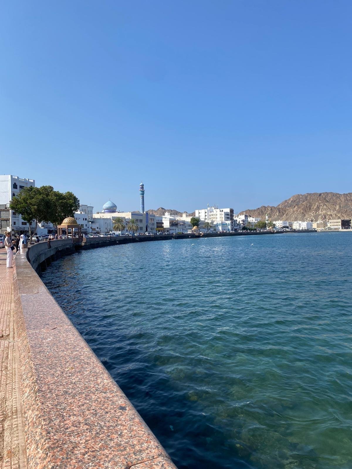 WhatsApp Image 2025-11-17 at 22.10.33_28ba9bac.jpg