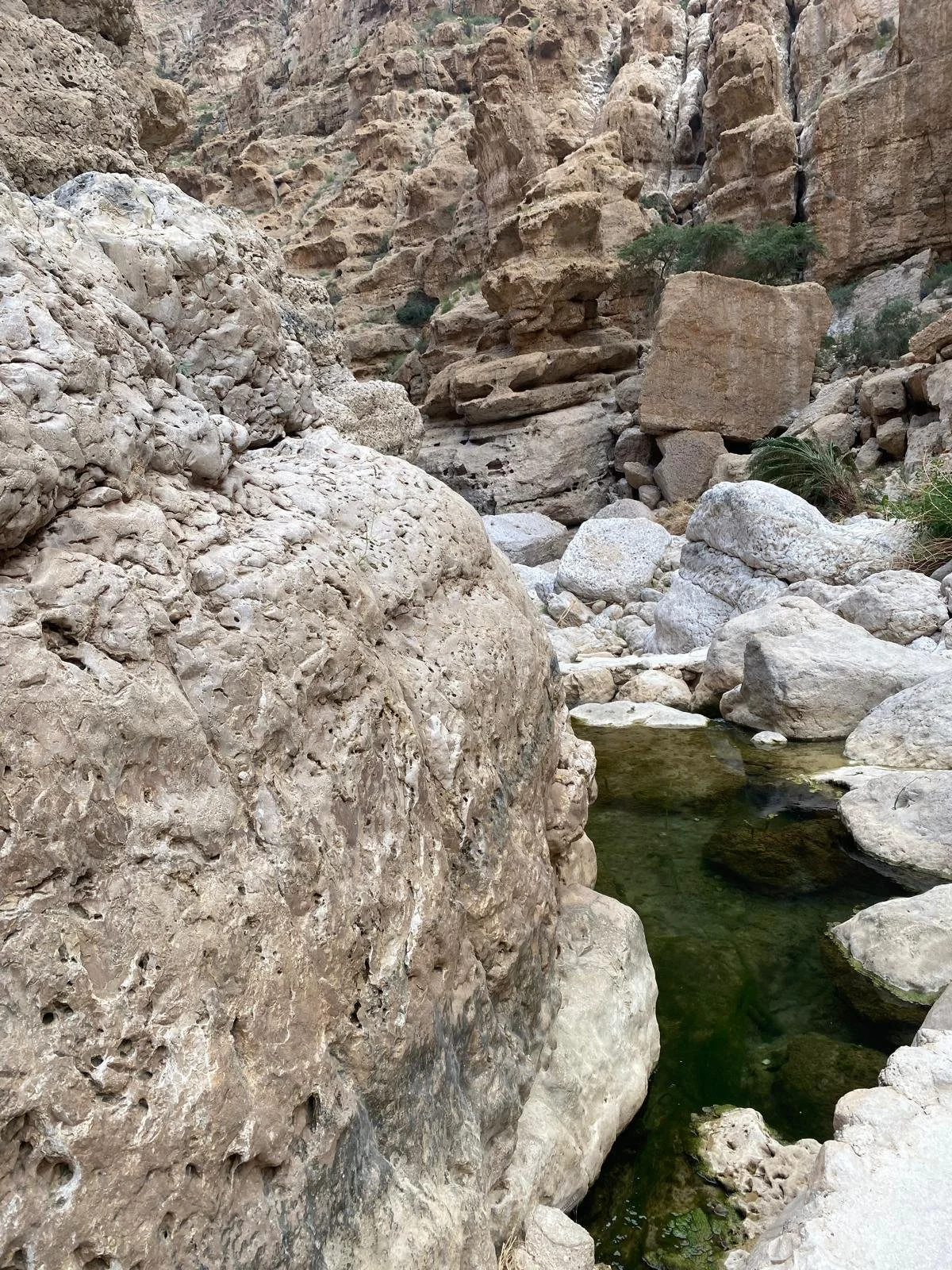 WhatsApp Image 2025-11-17 at 22.10.32_50fe3d34.jpg