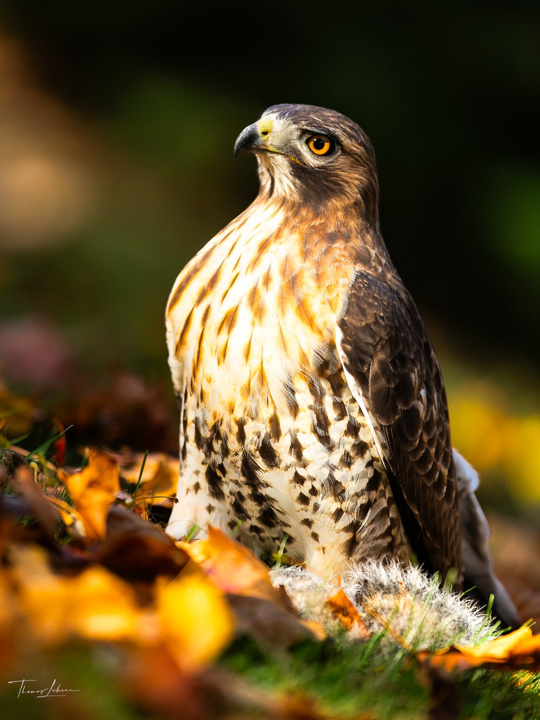 Around Massachusetts