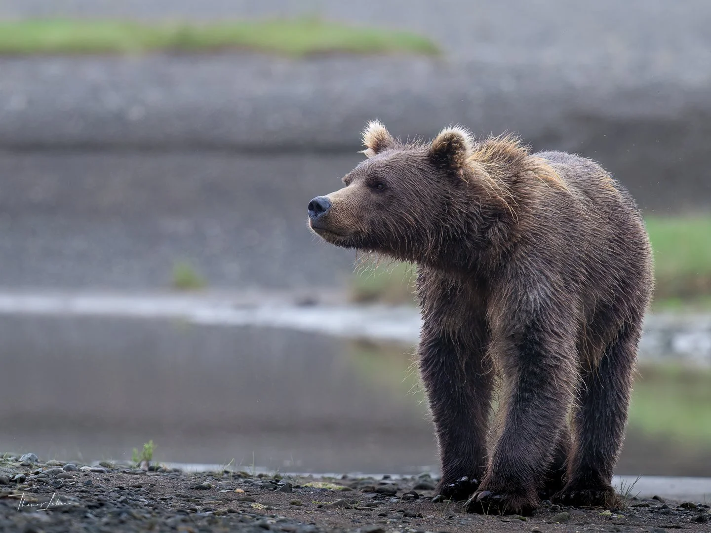 Lake Clark National Park