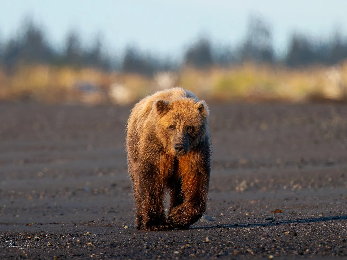Lake Clark National Park