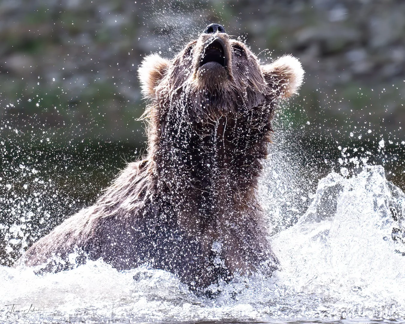 Lake Clark National Park
