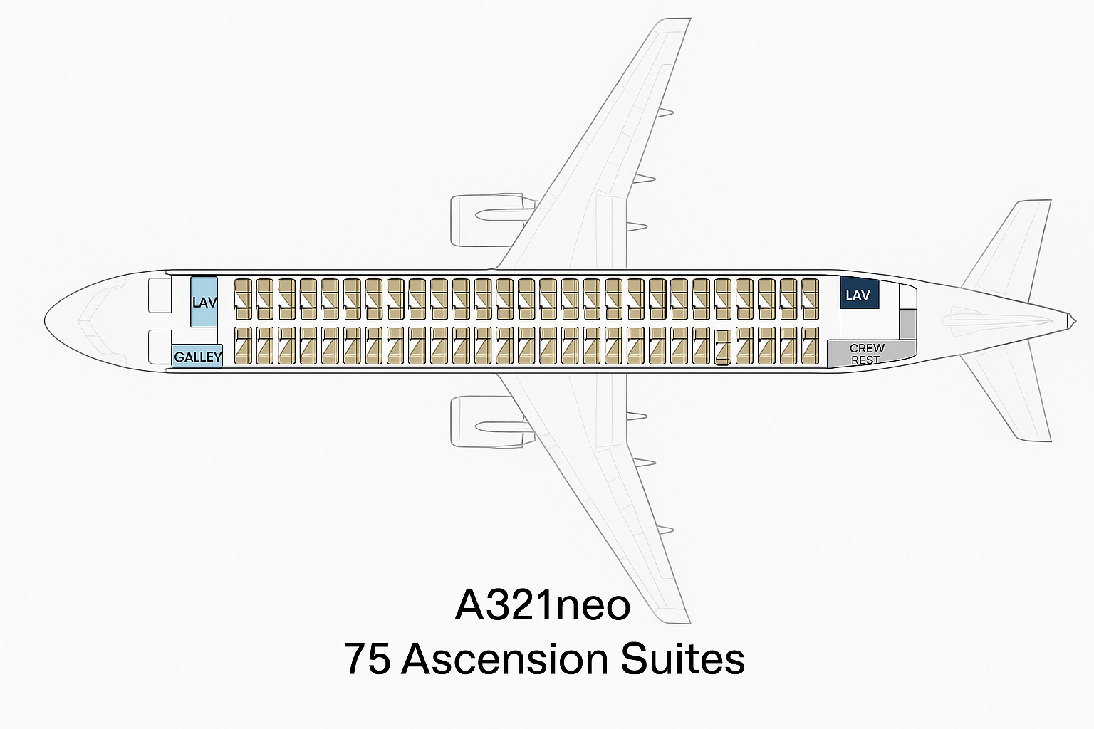 A321neo layout.png