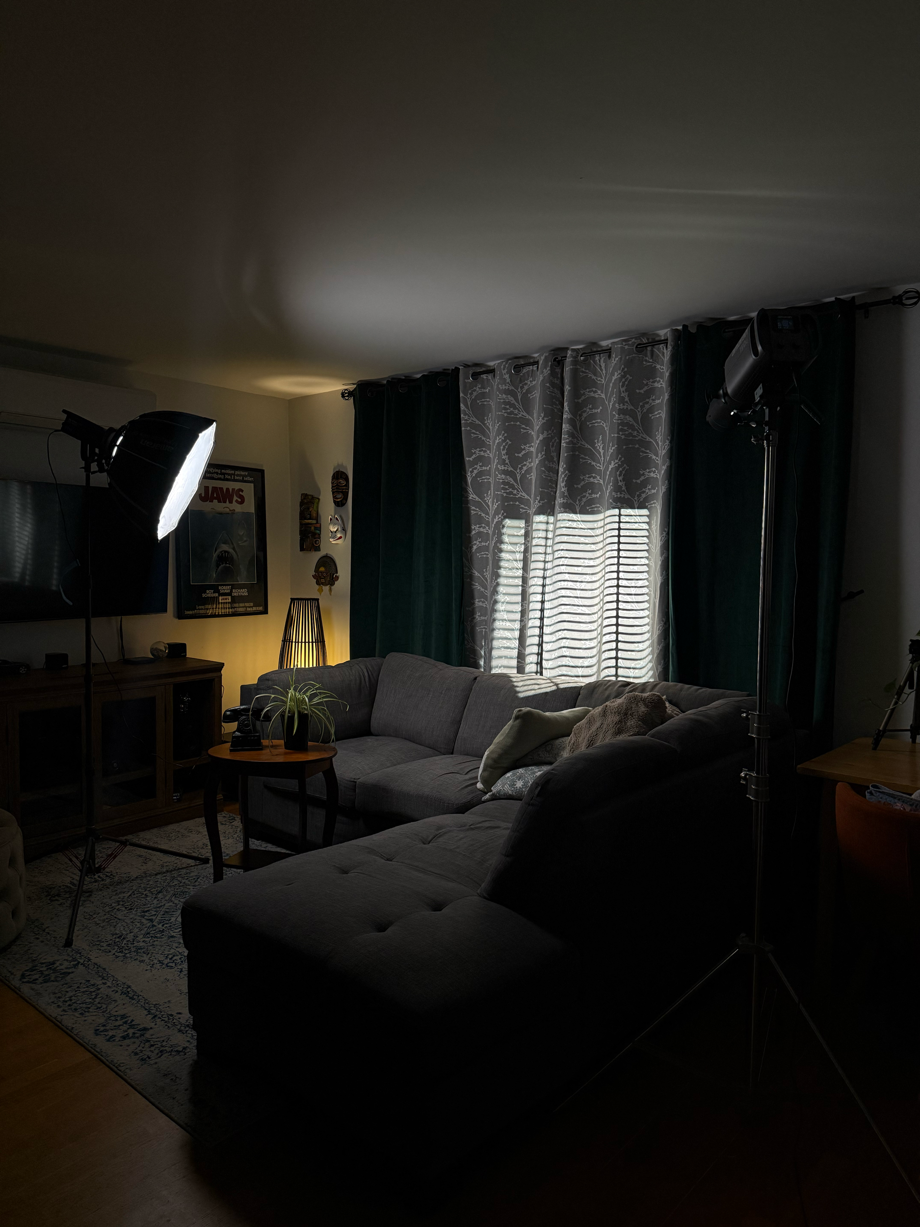 Living room with gray sectional sofa, patterned curtains, a small wooden coffee table with a plant, and film posters on the wall. Lighting includes a standing lamp and a studio light on tripods. Shadows and sunlight are visible.