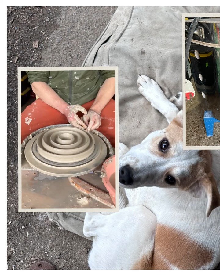 A productive week full of sewing and throwing upcycled/reclaimed materials ♻️ 
ft our furry family ❤️ 🐾