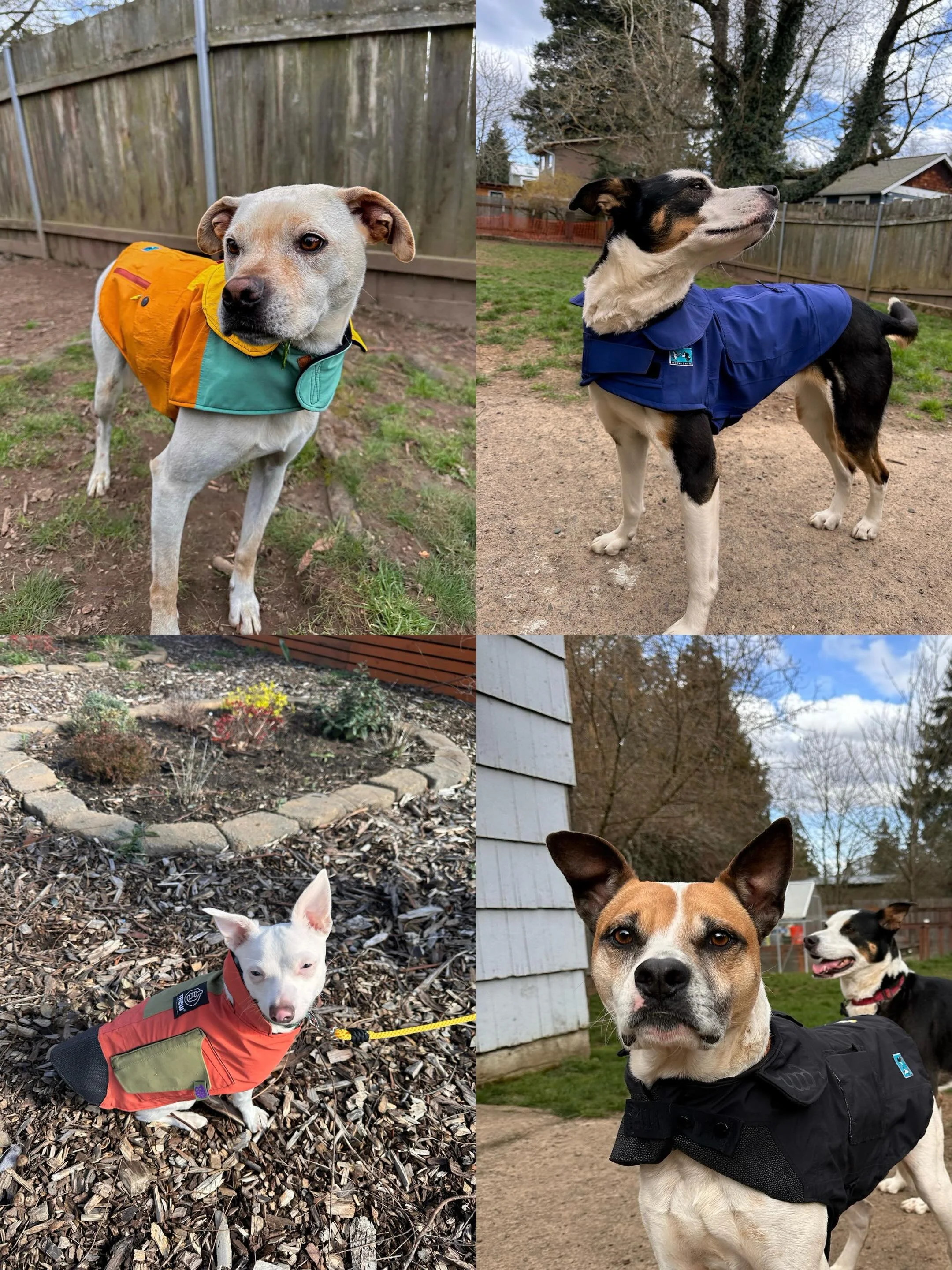 Get your paws on some upcycled pet gear!
📍2-9pm at the @on3pskico garage sale
We created a collection out of upcycled @trewgear outwear for their Afterlife. Come support local businesses and peek some unique one-of-a-kind fits and accessories for yo