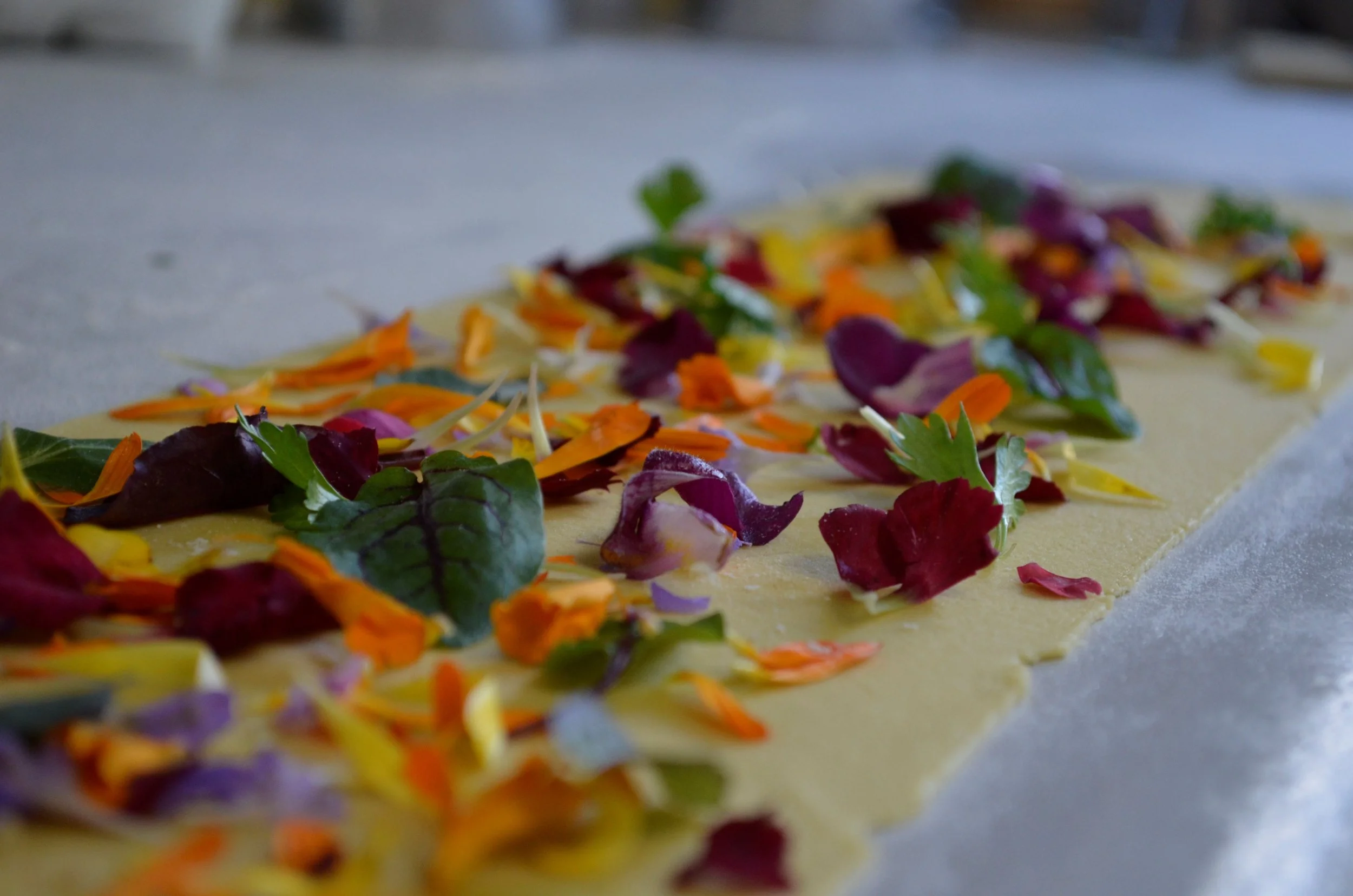 Close-up of colorful edible flower petals scattered on a sheet of pasta dough.