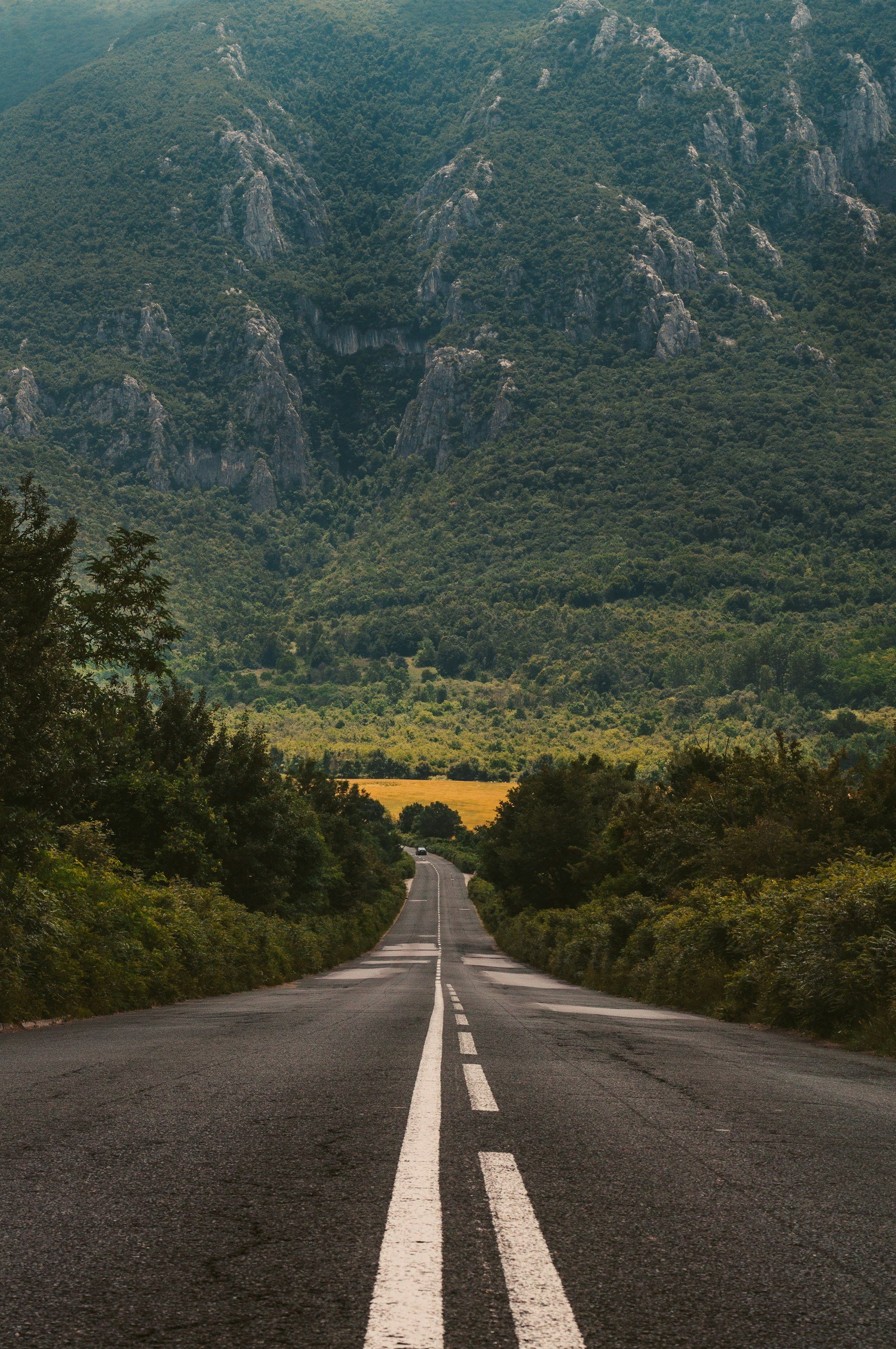 A straight road leading into lush green mountains with rocky peaks in the background, flanked by trees and bushes.