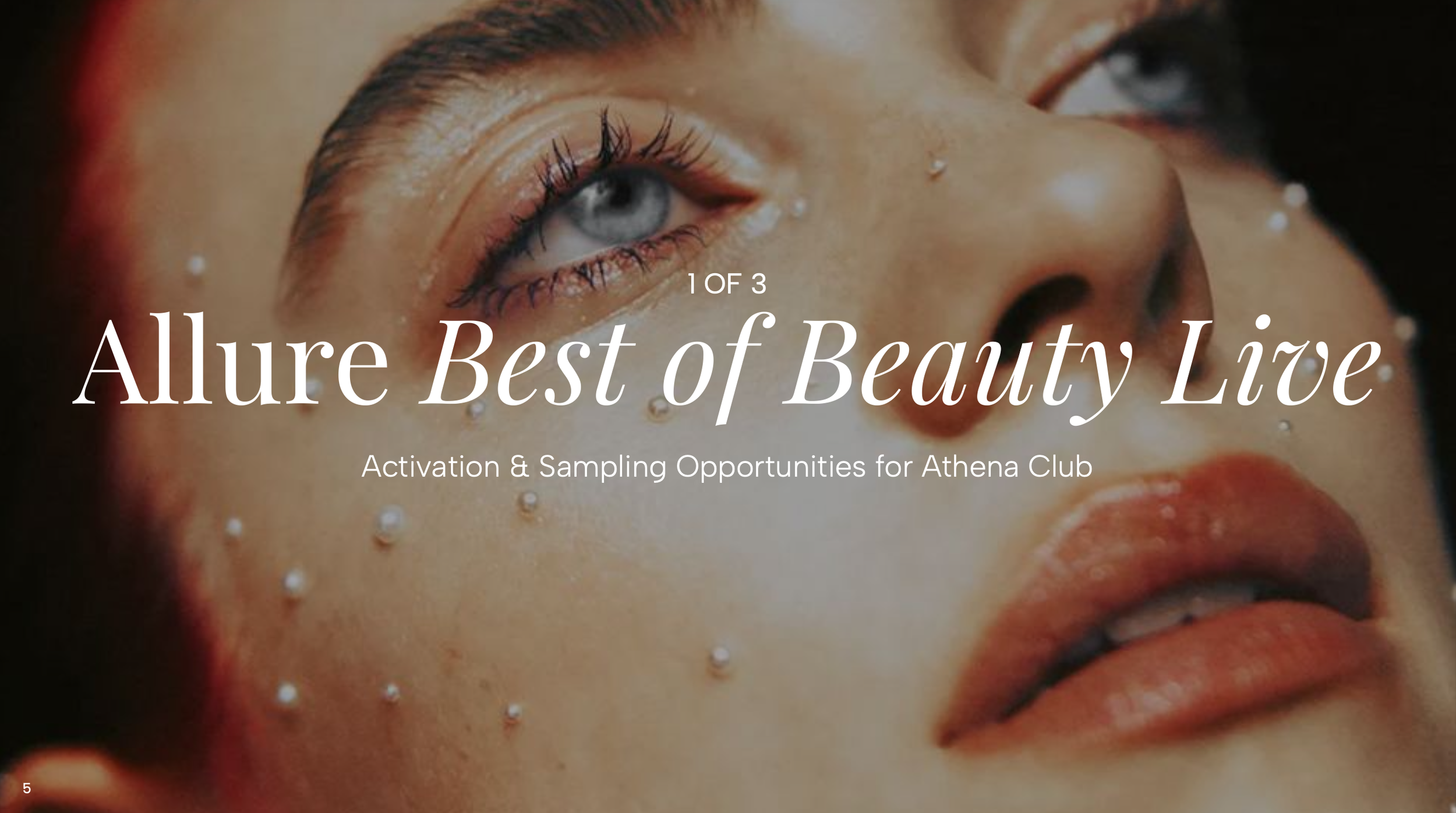 Screenshot 2026-02-18 at 11.57.36 AM.png