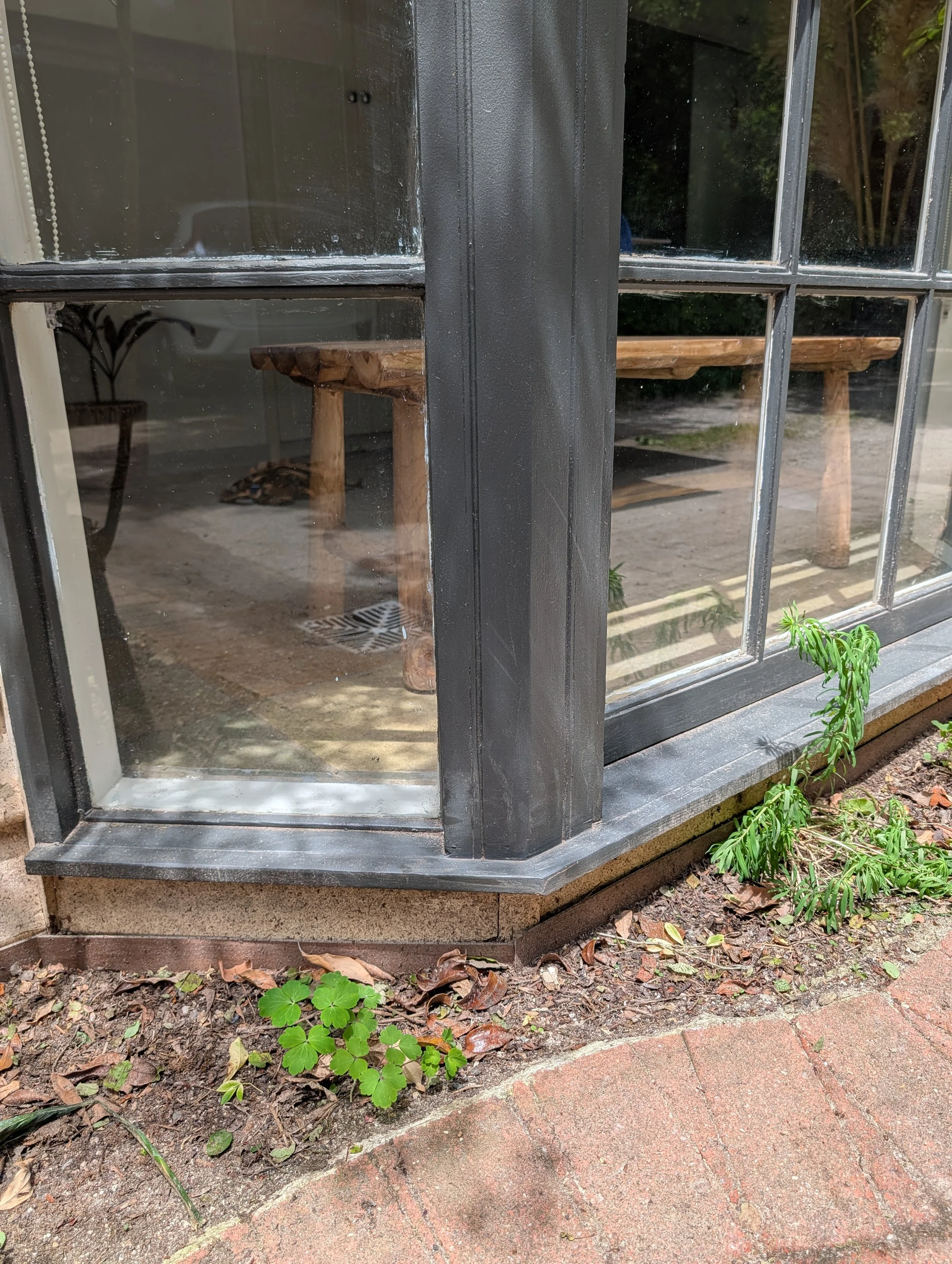 A close-up of a black window frame with glass panes, showing the reflection of a wooden table inside and some plants outside. The outdoor ground has dirt and small plants.
