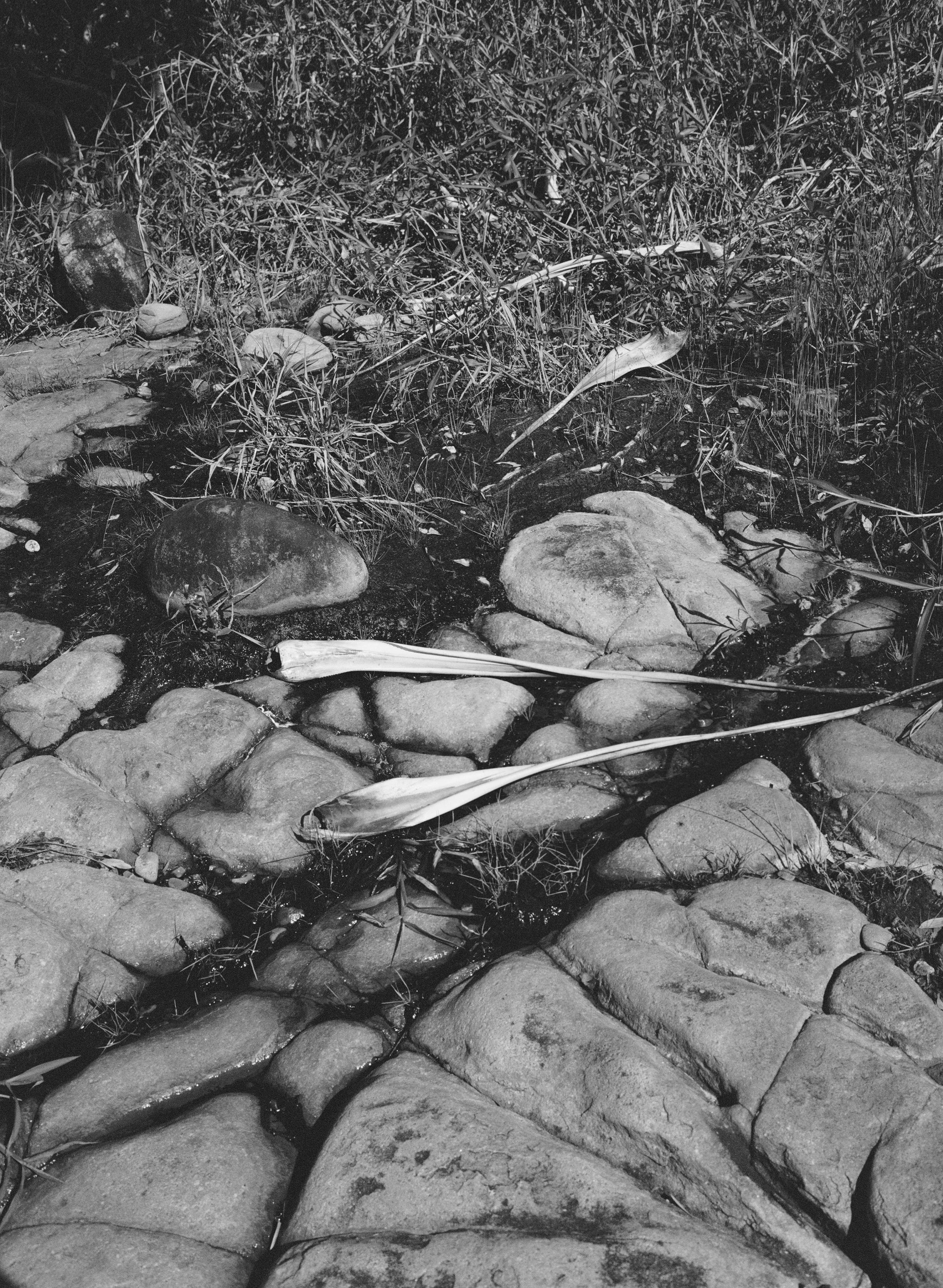 Noosa National Park, April 2025