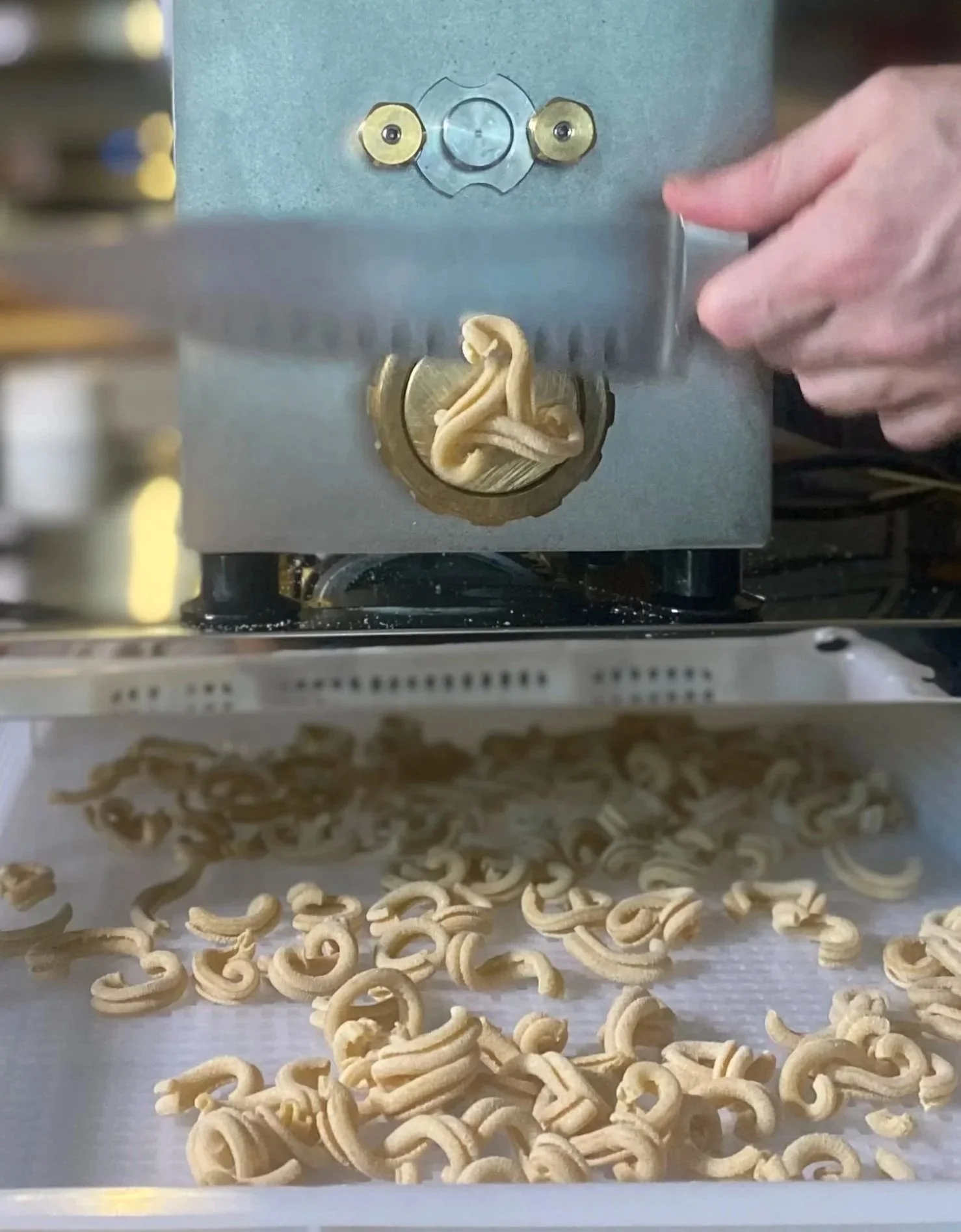 Close-up of our pasta machine extruding our casarecce pasta noodles through bronze dies.