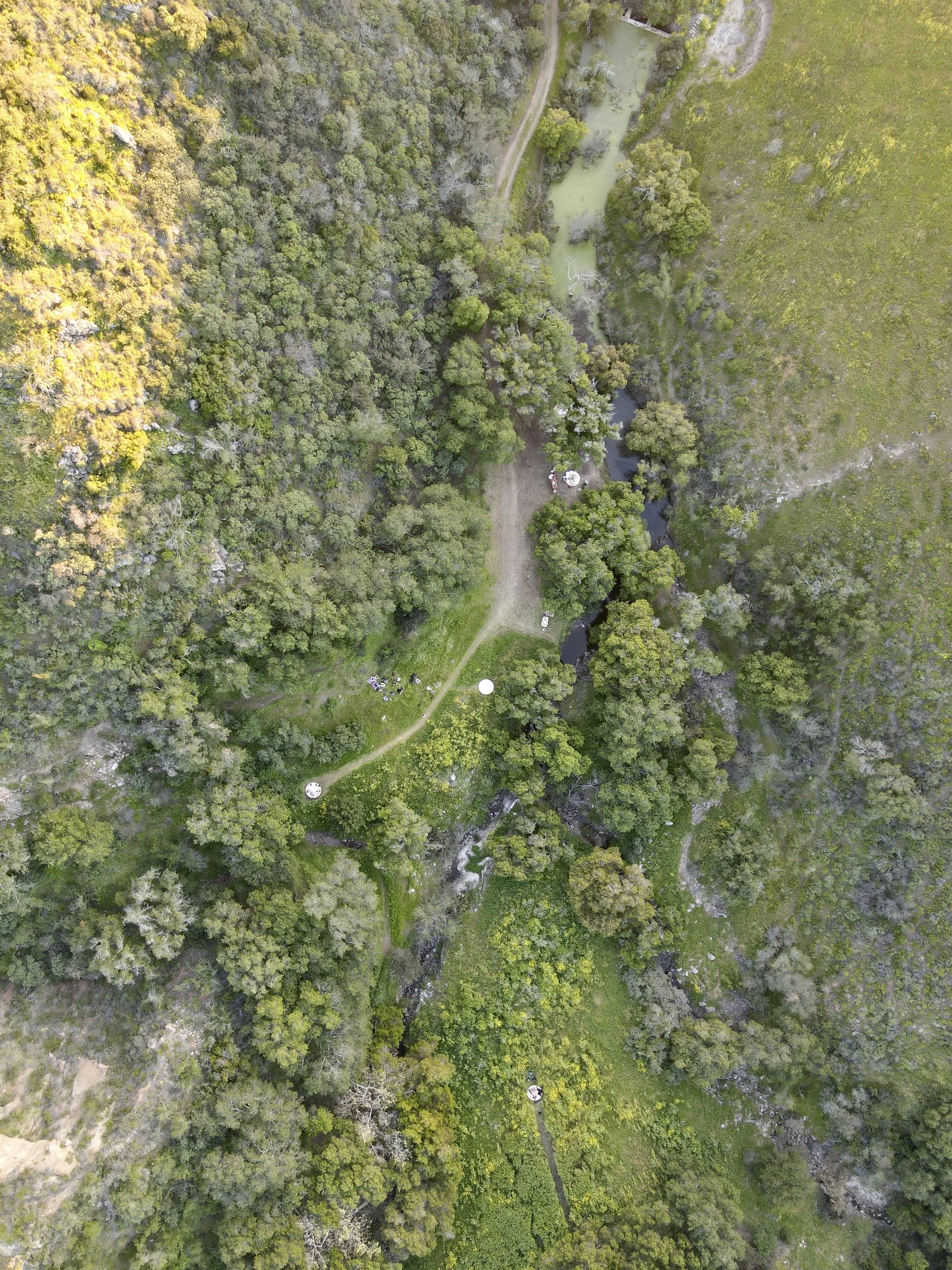 dji_fly_20230409_184930_568_1681092380770_photo.jpg