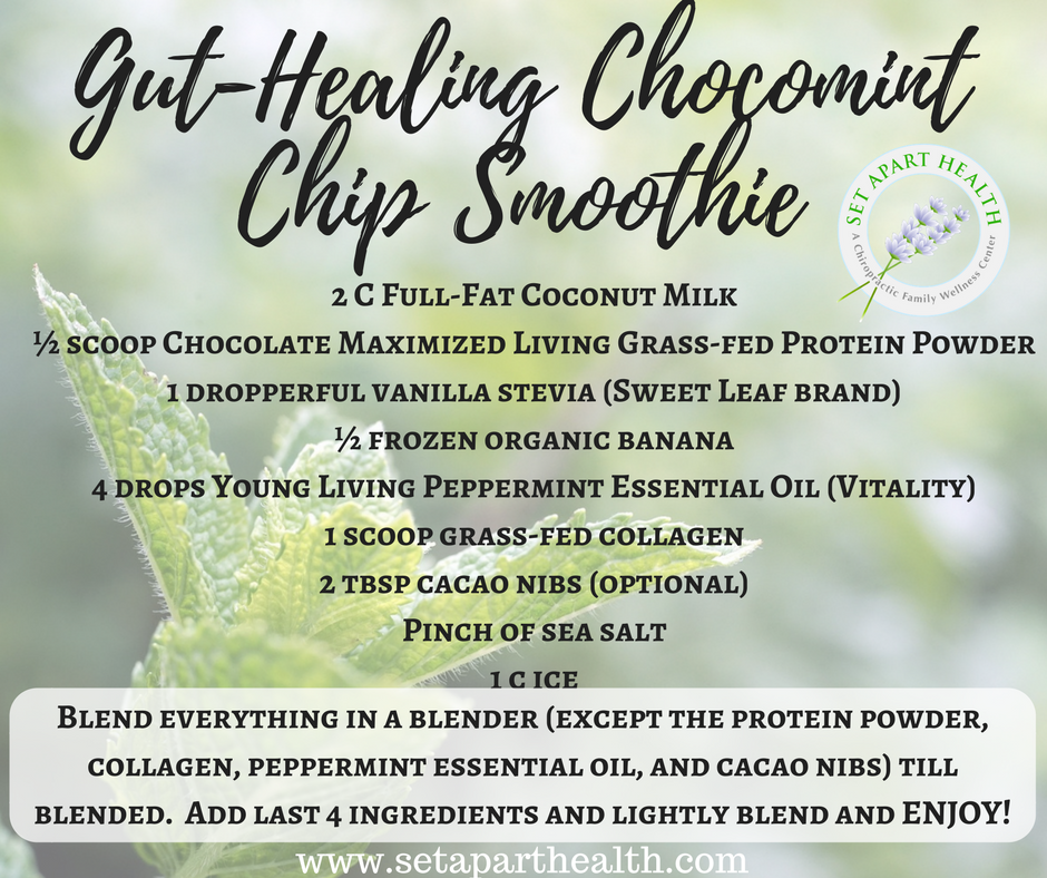 Gut-Healing Chocomint Chip Smoothie
