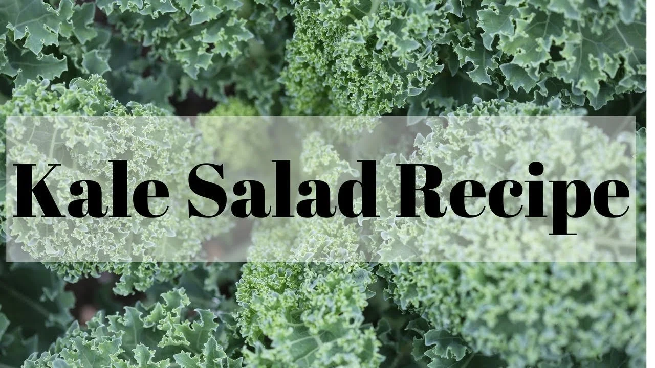 Kale Salad Recipe