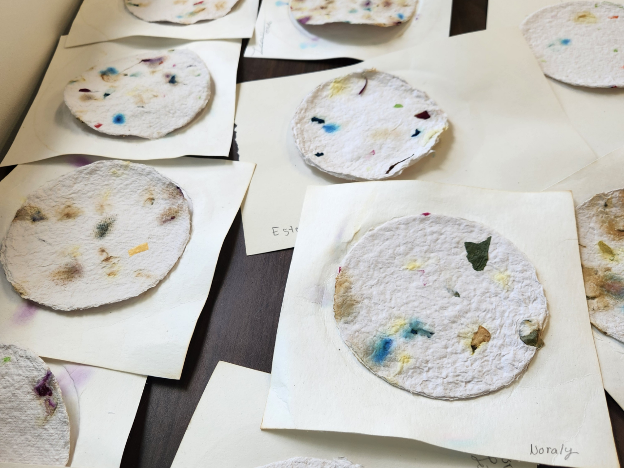 Vernissage - CANOPÉE