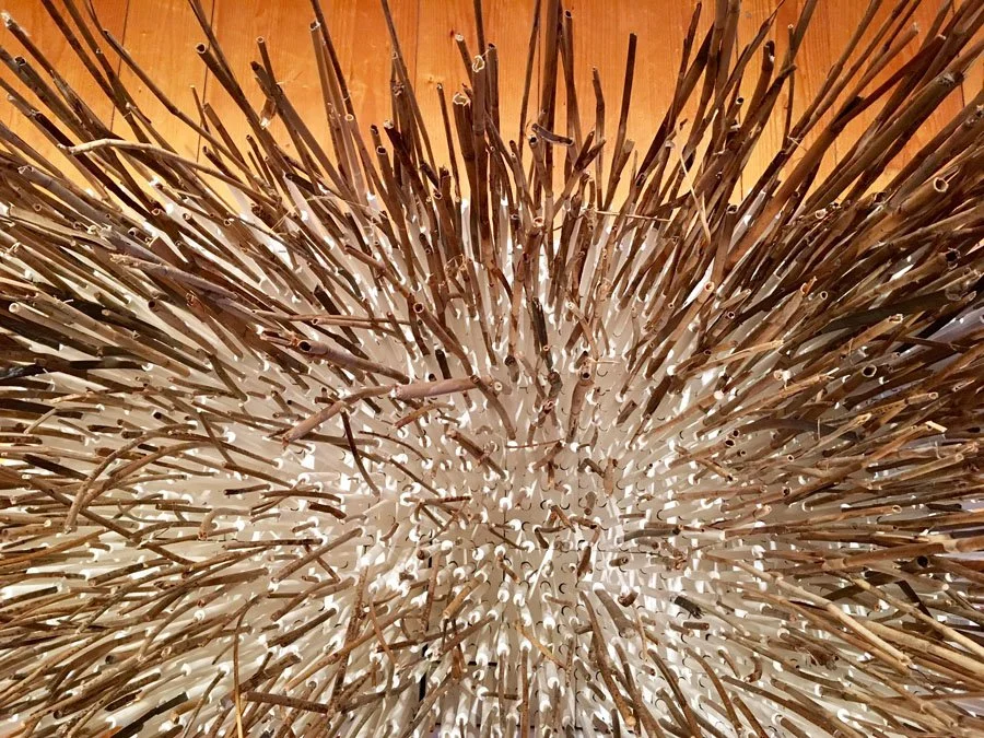 Ressac - Geneviève Baril 