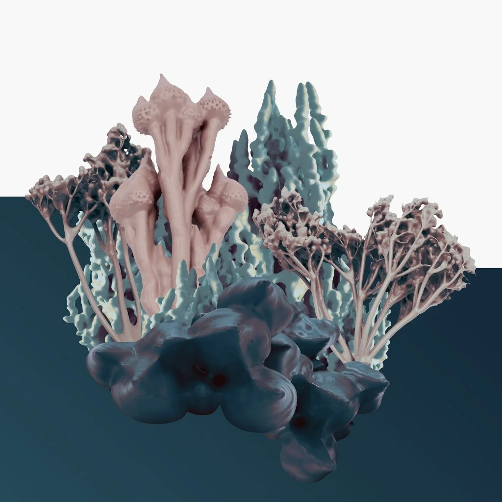 Claudel Lauzière Vanasse