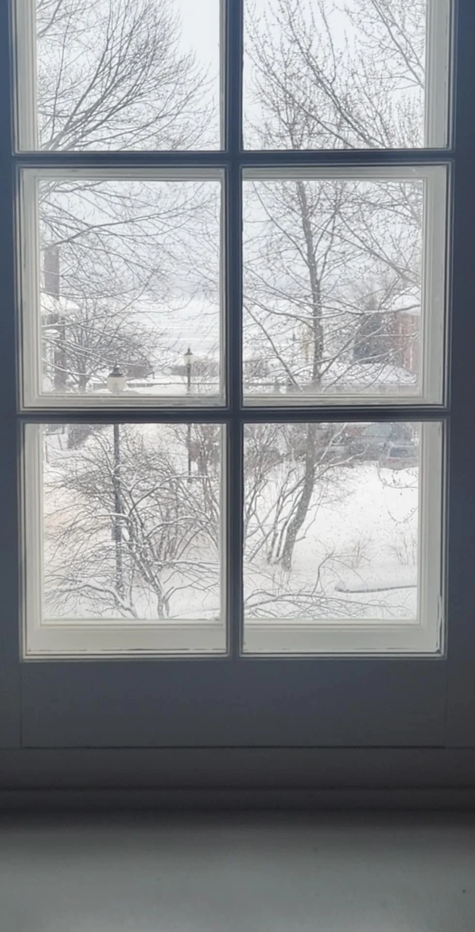 Lancement de notre site internet !