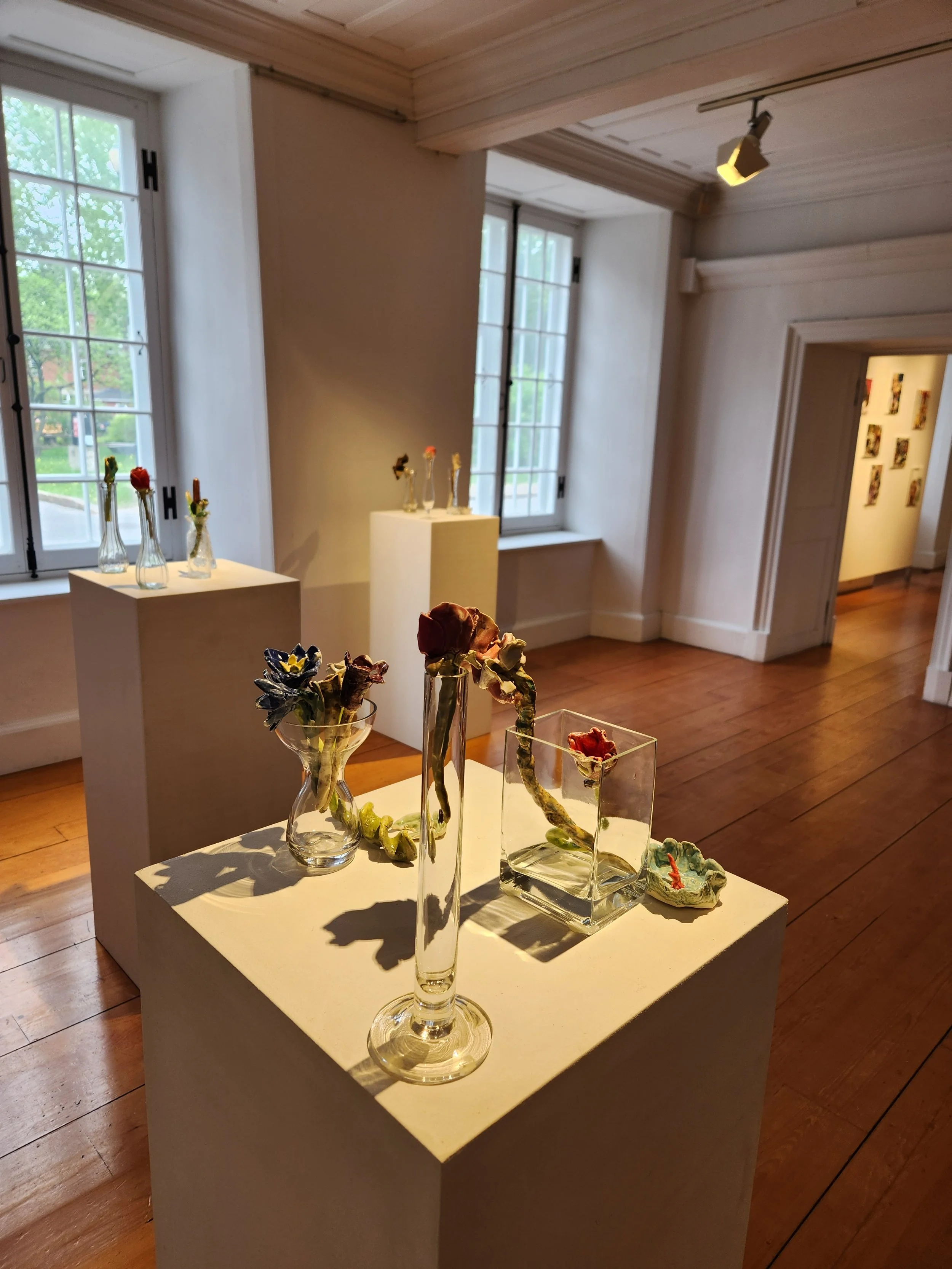 Exposition d'art avec des fleurs séchées dans des vases en verre sur des piédestals et une table, dans une salle lumineuse avec fenêtres et murs blancs.