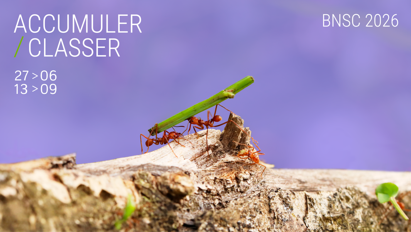 Biennale Nationale de Sculpture contemporaine