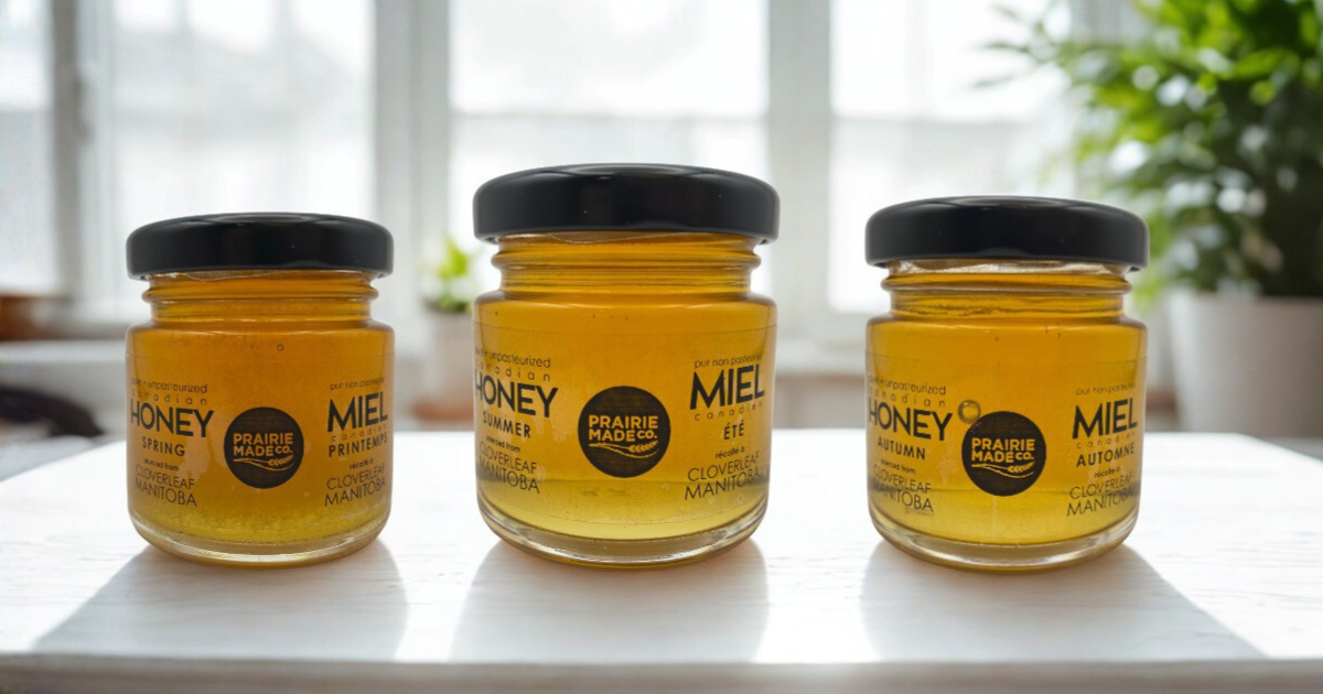 Social Share Images - Fun Previews (1).png