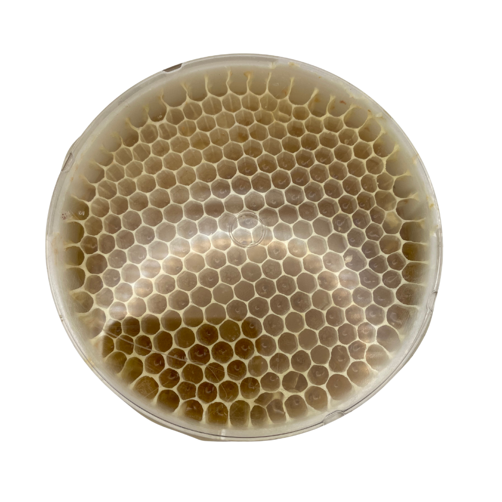 Honeycomb.png