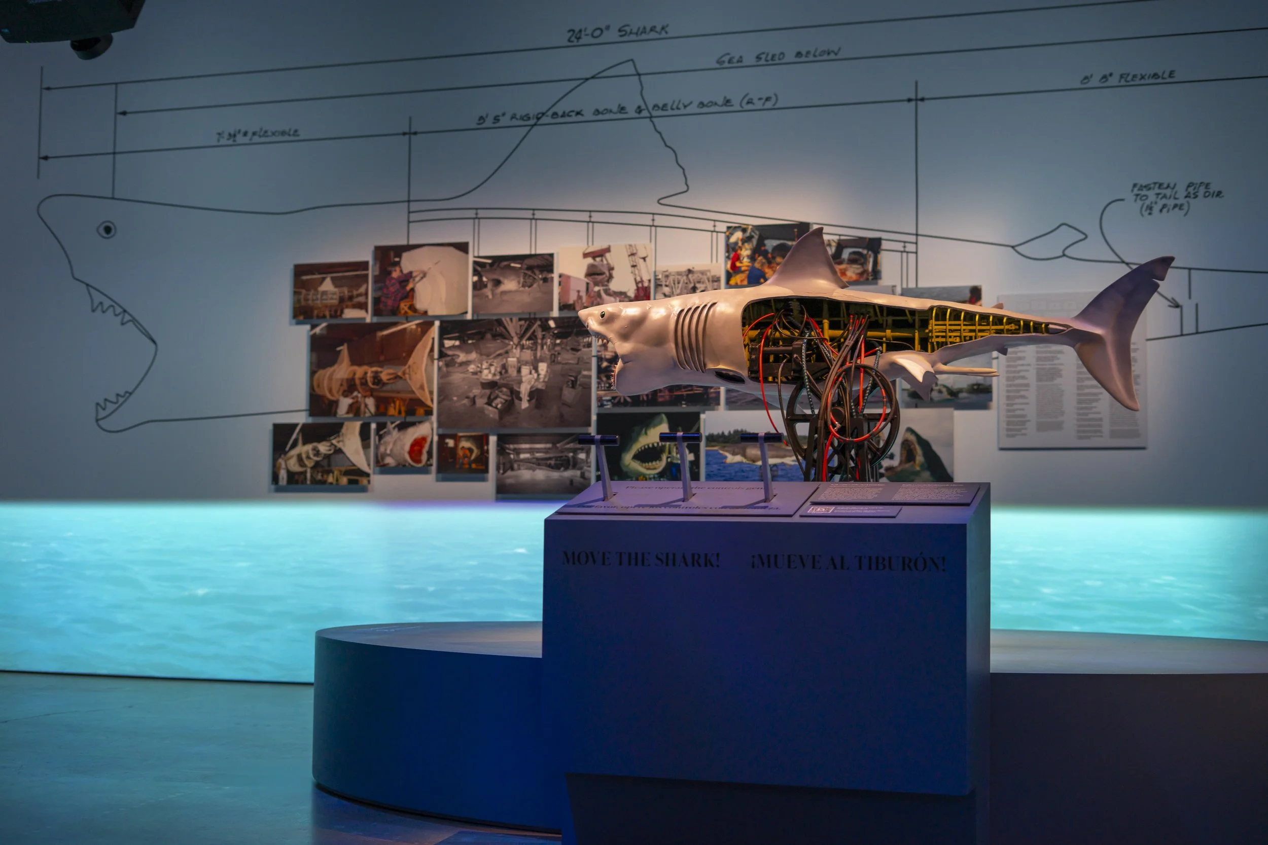 Mechanical Megalodon