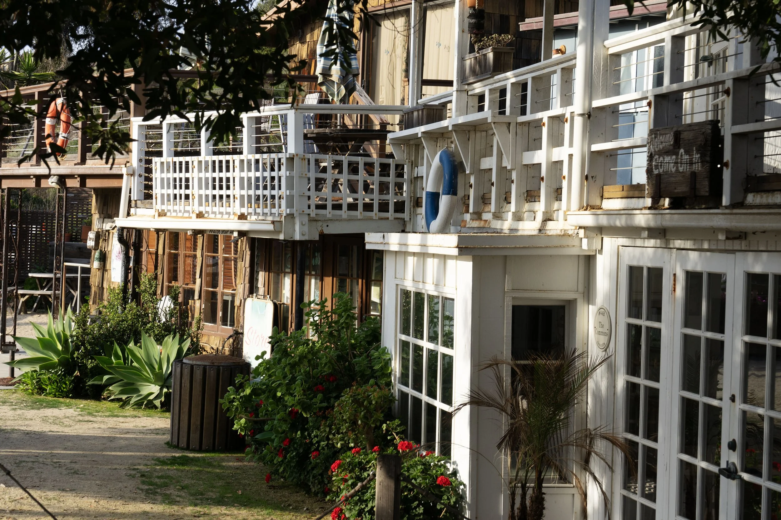 Windows Overlooking the Shoreline