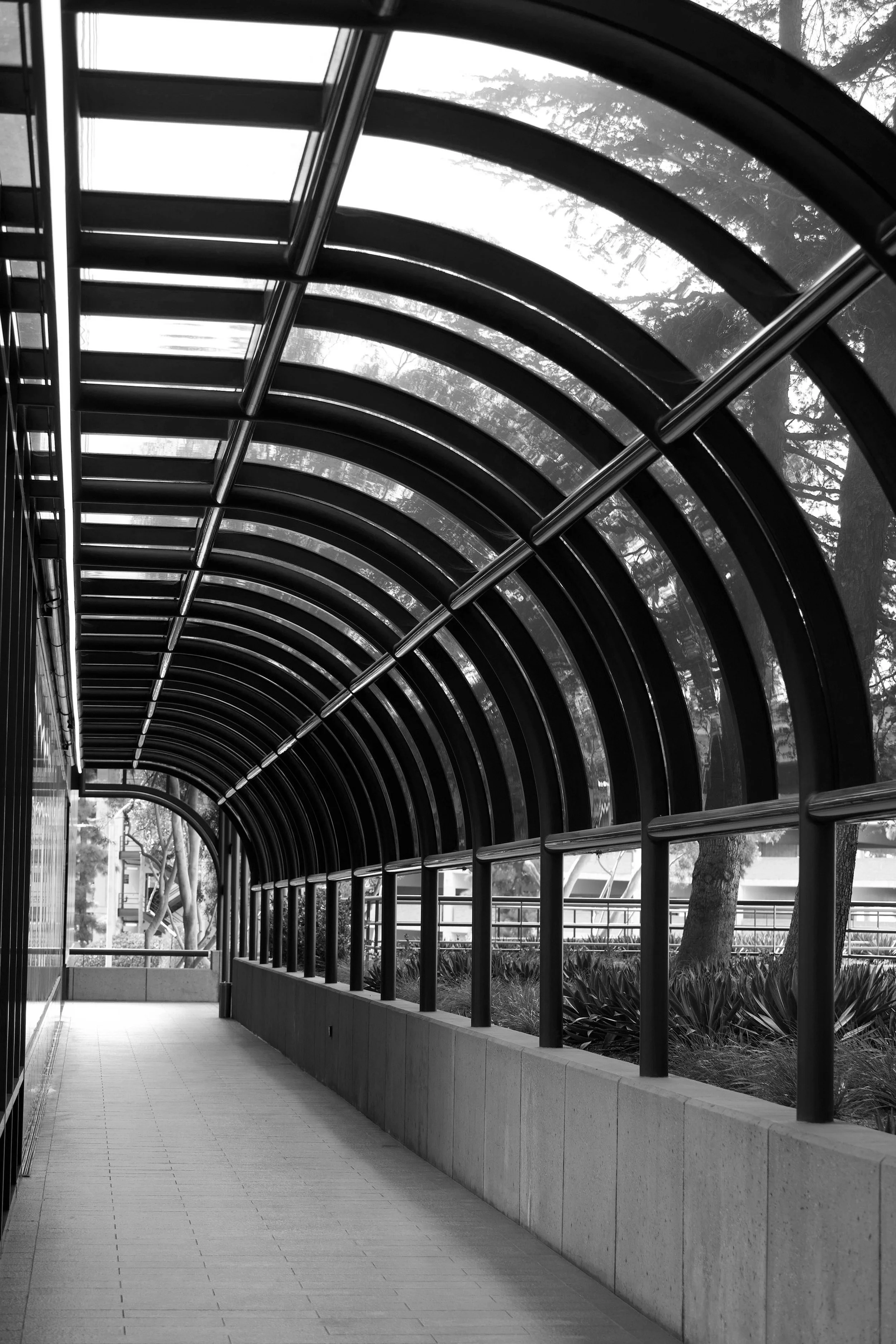 Tubular Tunnel B&W