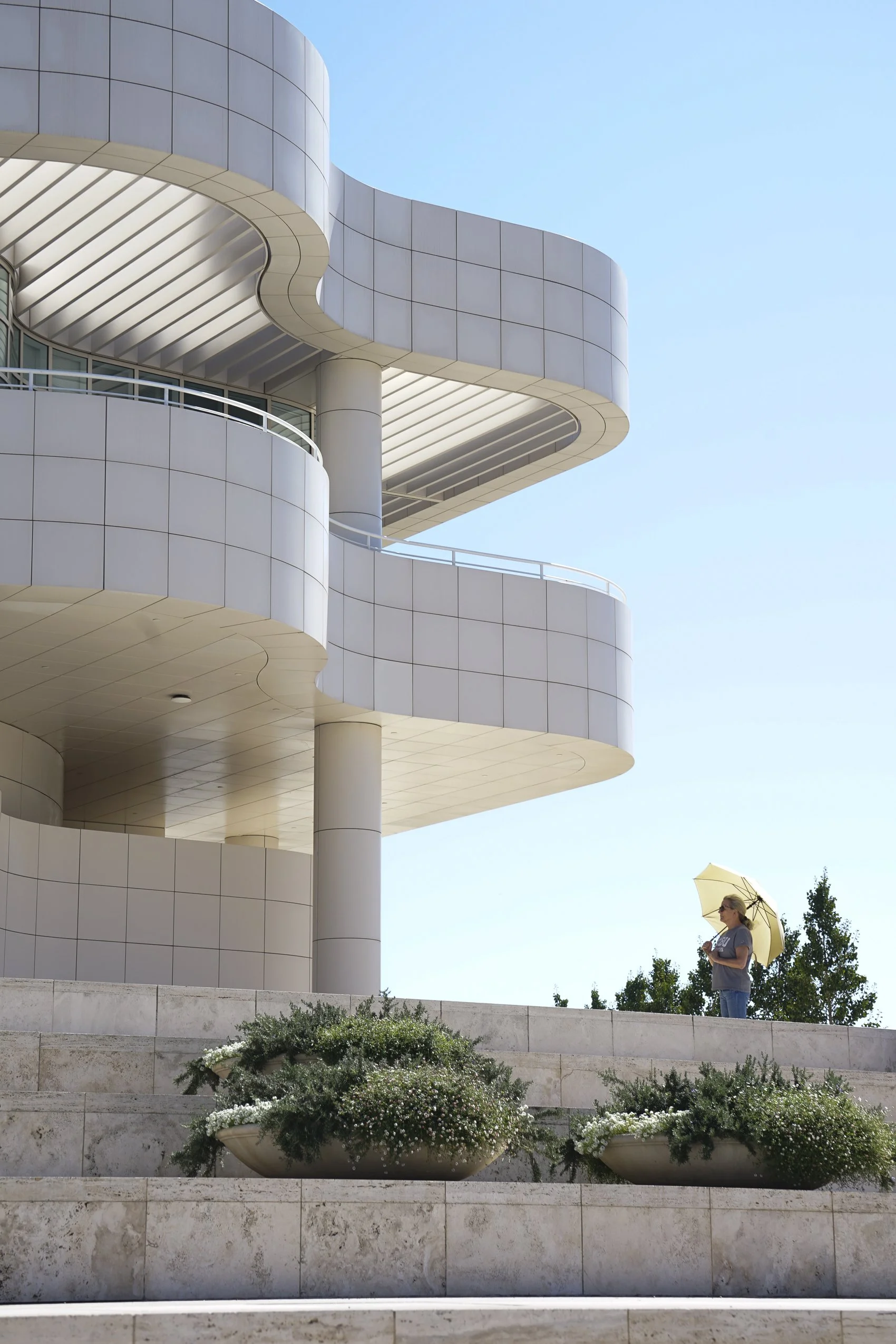 Contemplative Curves