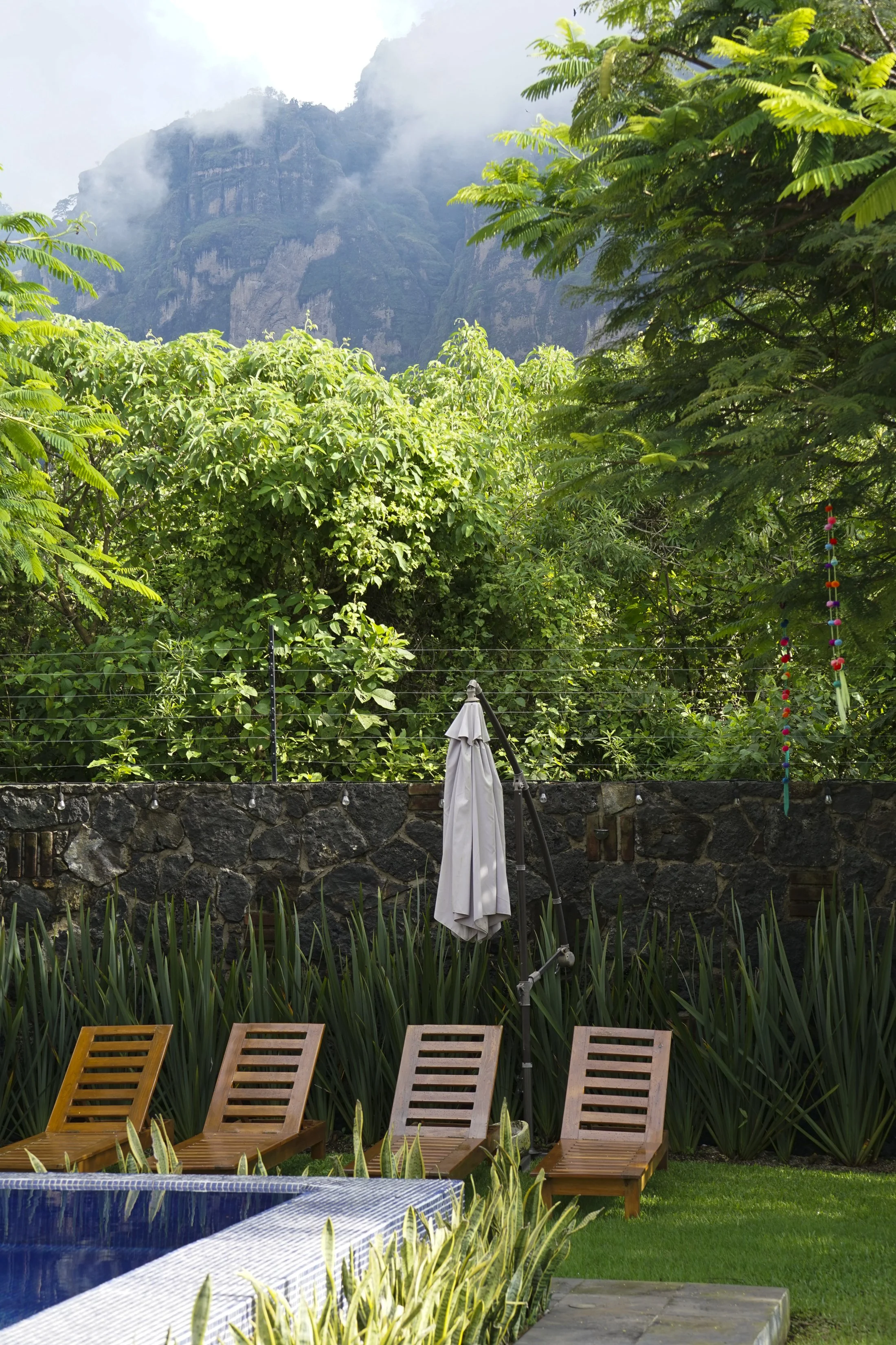 Mexico's Mariposa Mountains