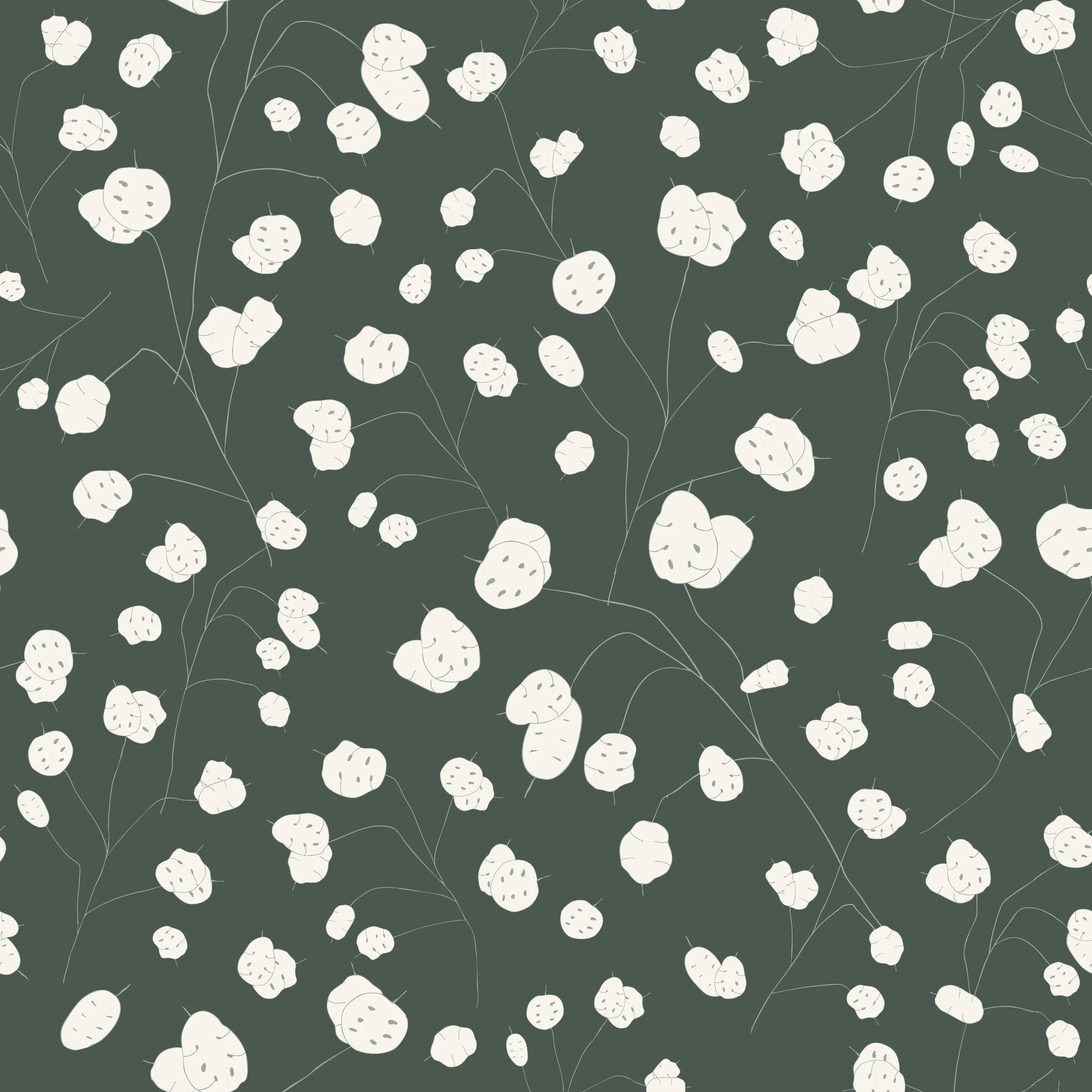 Welcome to the Studio