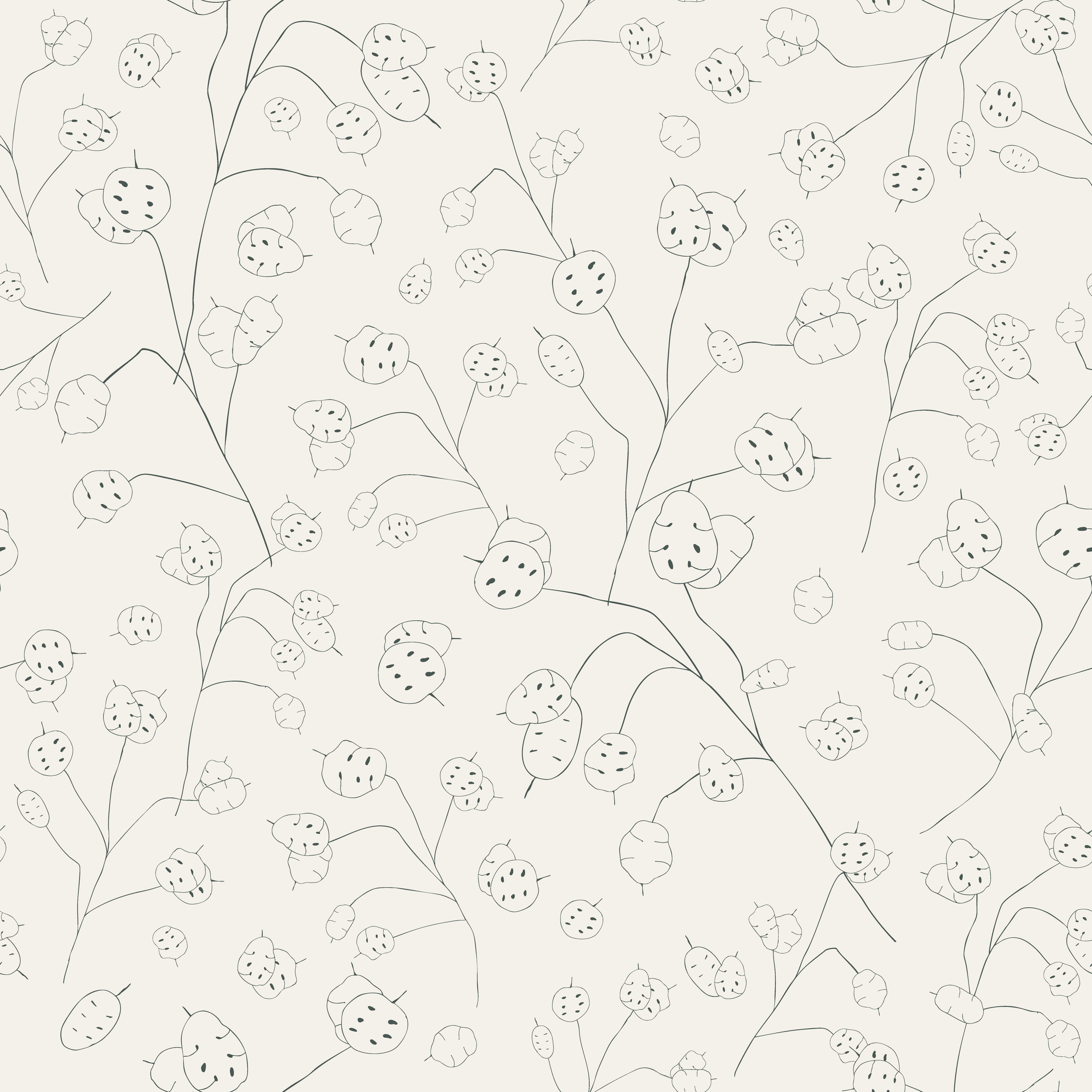 Seamless pattern, featuring botanical line drawings of lunaria, silver dollar plants, on a light cream background.