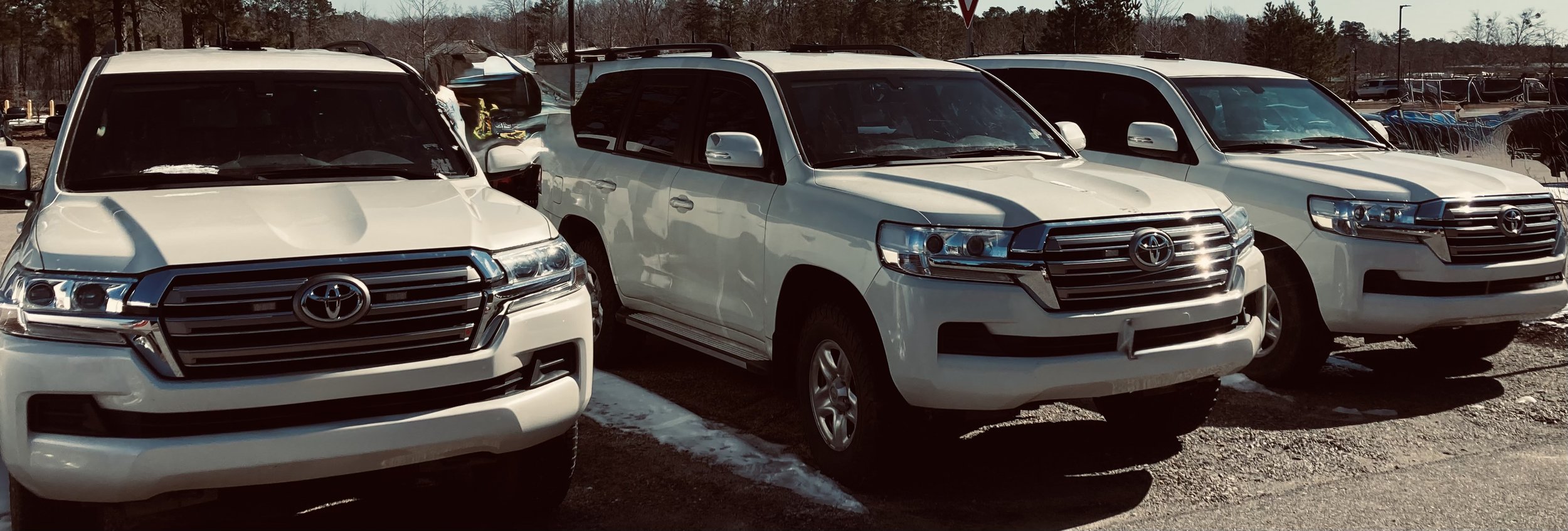 Three white Toyota SUVs parked in a lot with other vehicles in the background.