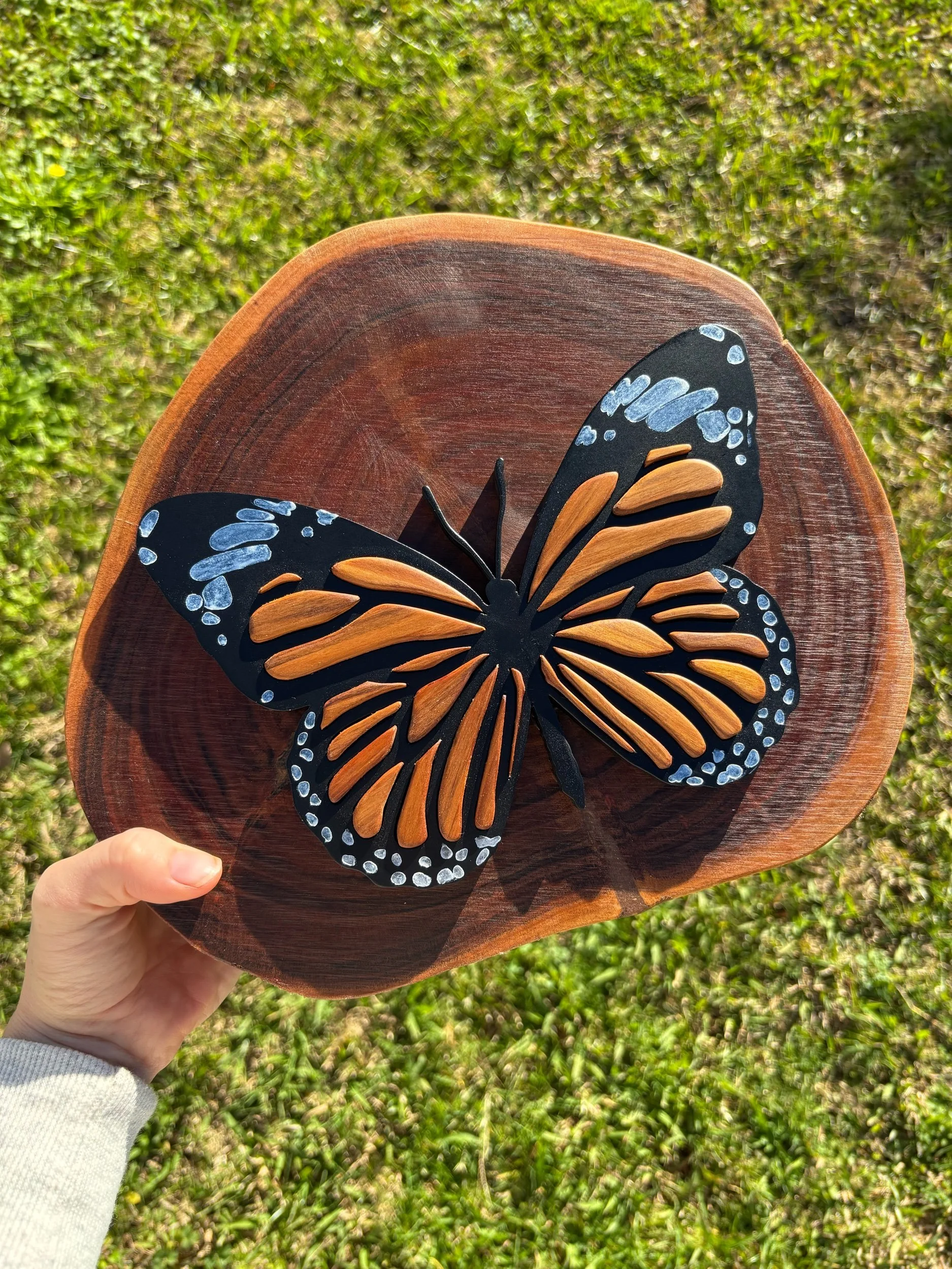 Backyard Collection | Monarch Butterfly