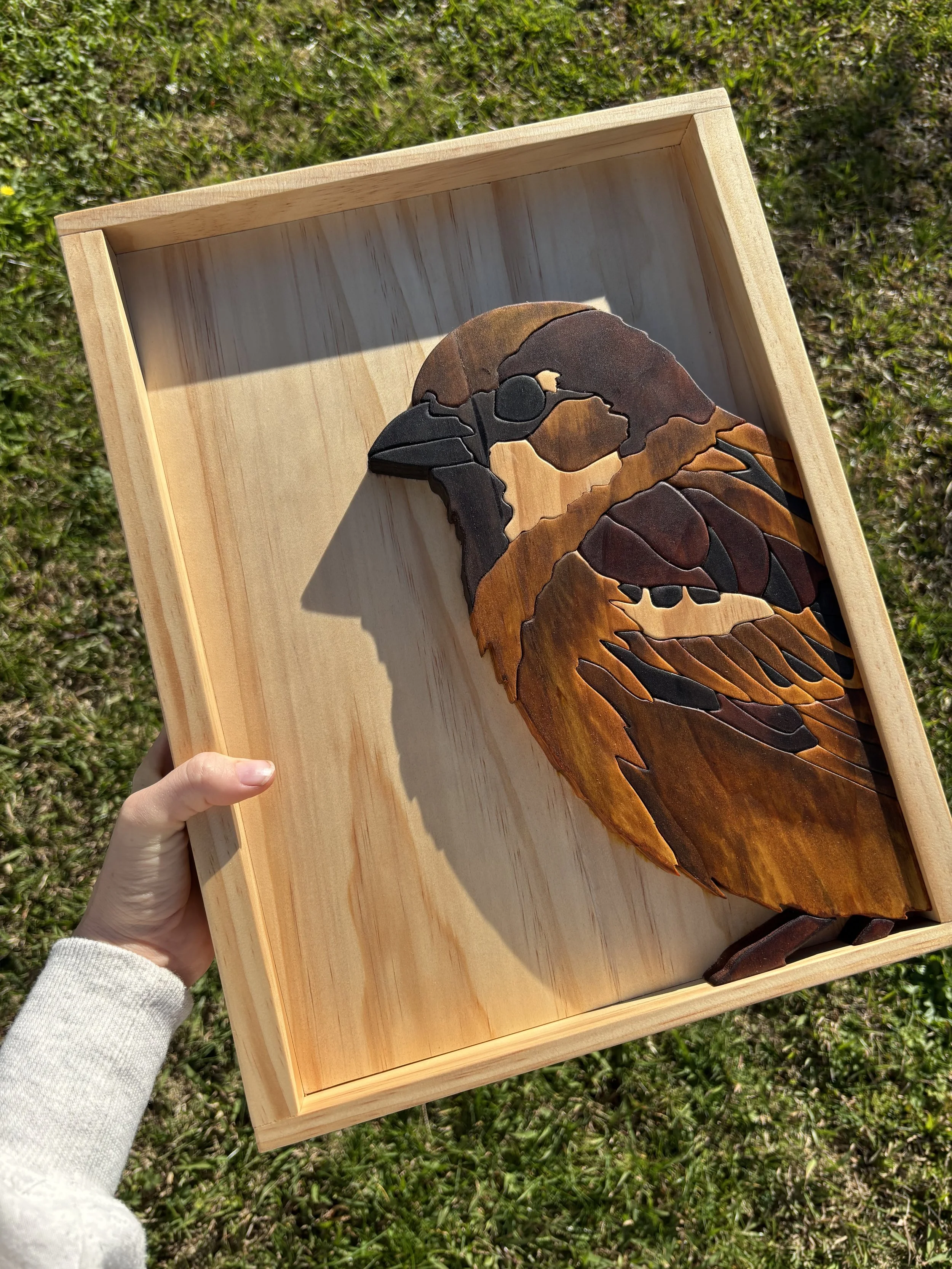 Backyard Collection | Sparrow