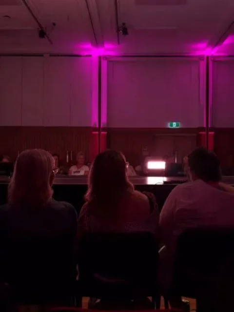 Very thankful for all my fabulous models that made my Twin Peaks theme for ReFashion Show @sustainablequeenstown come to life. Incredibly fun evening along with all the other talented designers and curators. 

Can you guess the characters??? 

#susta